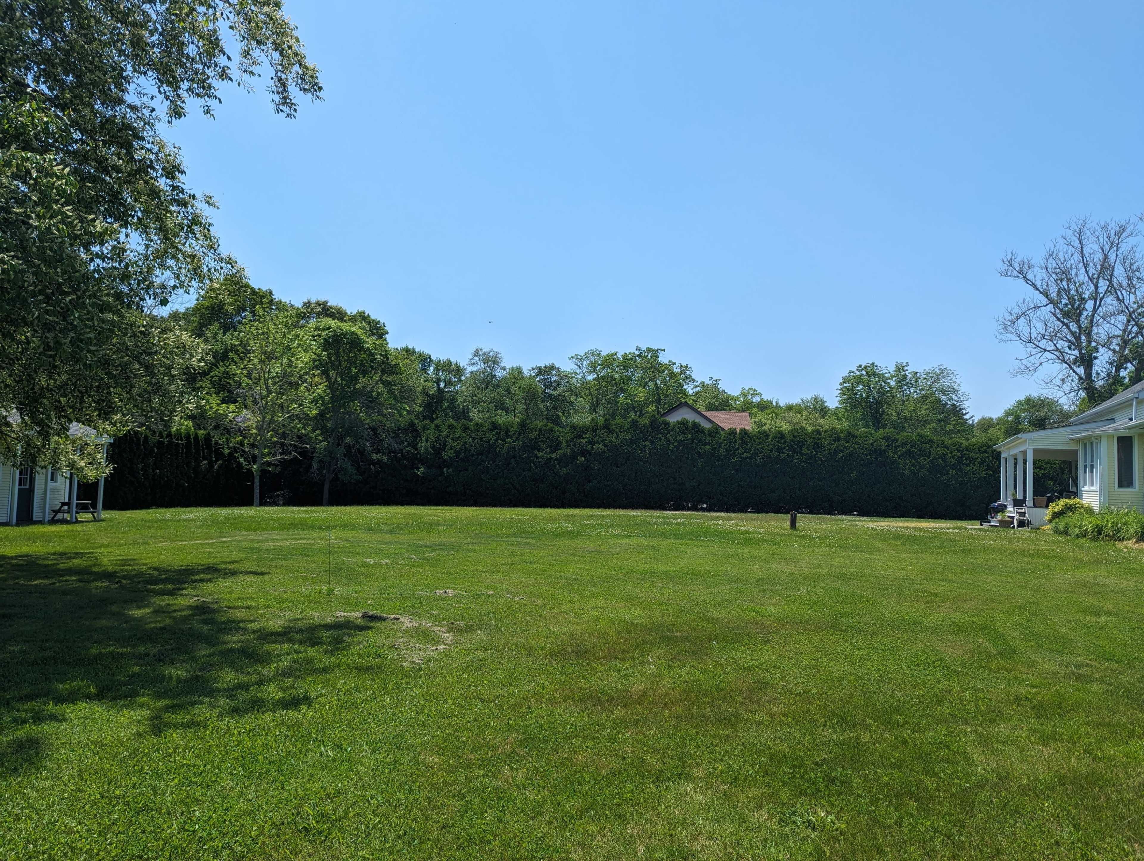 The image shows a spacious lawn bordered by dense greenery and a distant house under a clear blue sky.