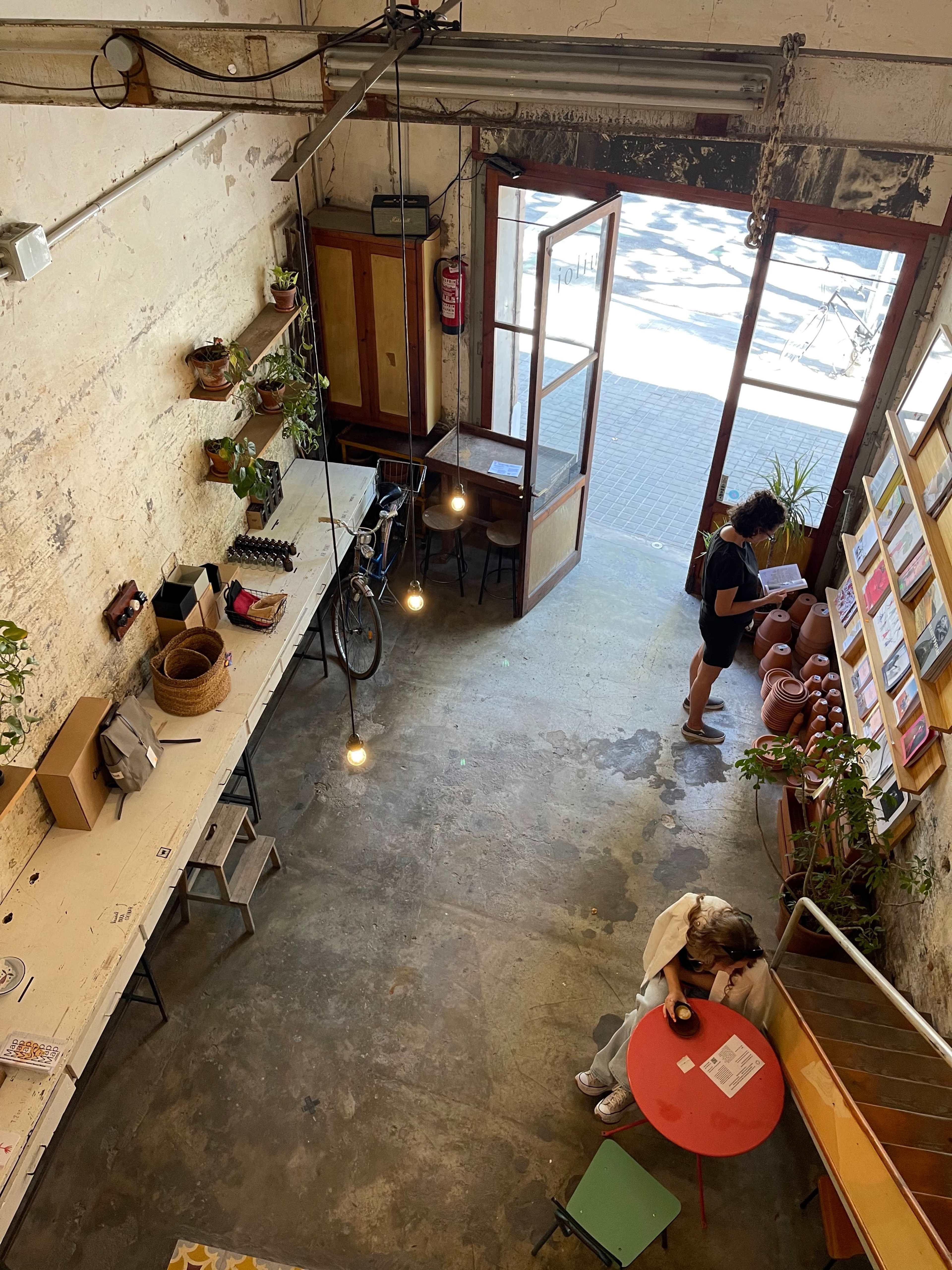 A spacious, light-filled indoor café with a wooden table, plants on shelves, a bicycle, and a person sitting at a small green table while another stands near the entrance.