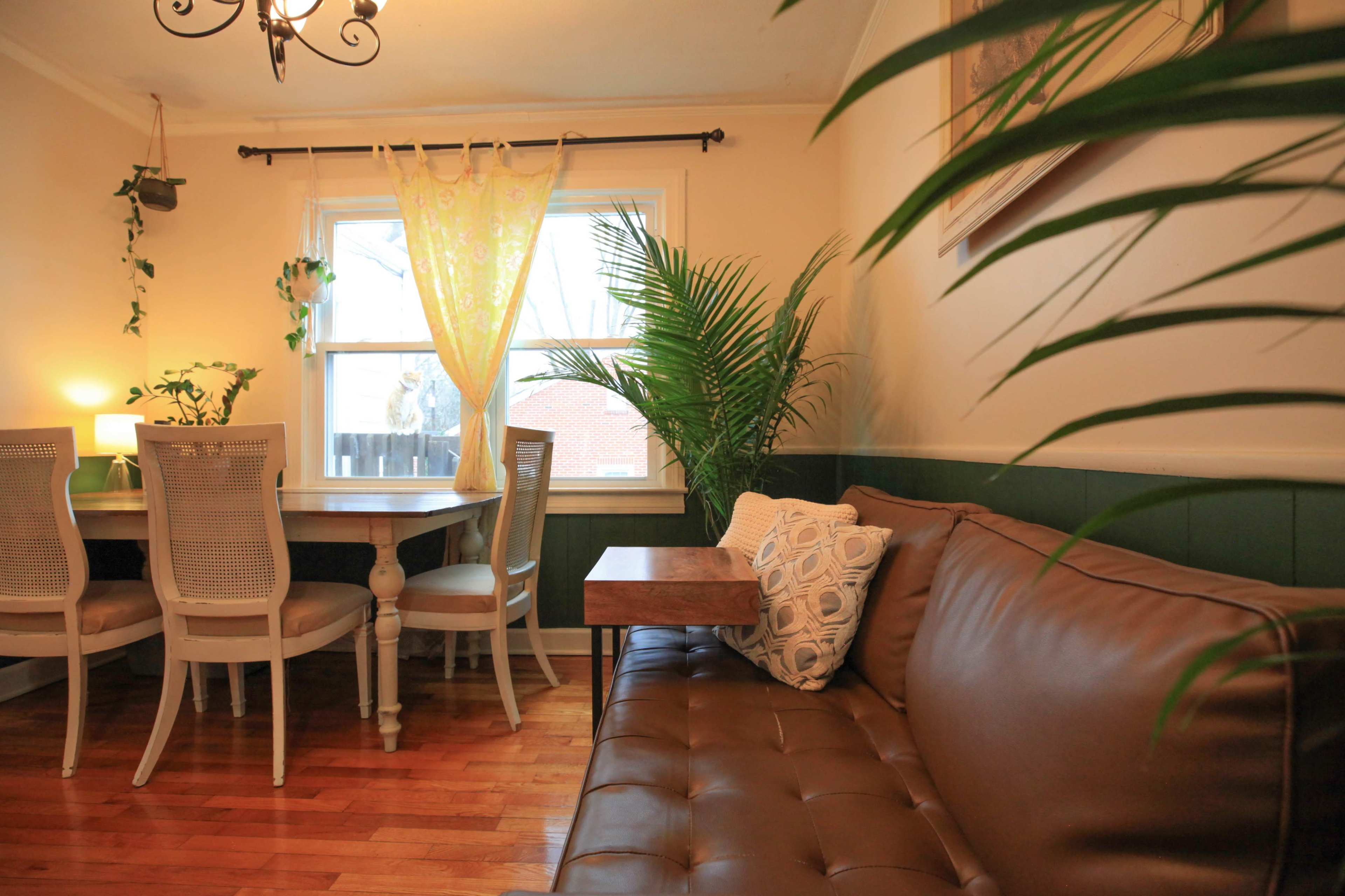 Garden House, Cozy, Peaceful, Relaxing, Studio, Downtown, Urban Image in Greenville, Greenville, SC