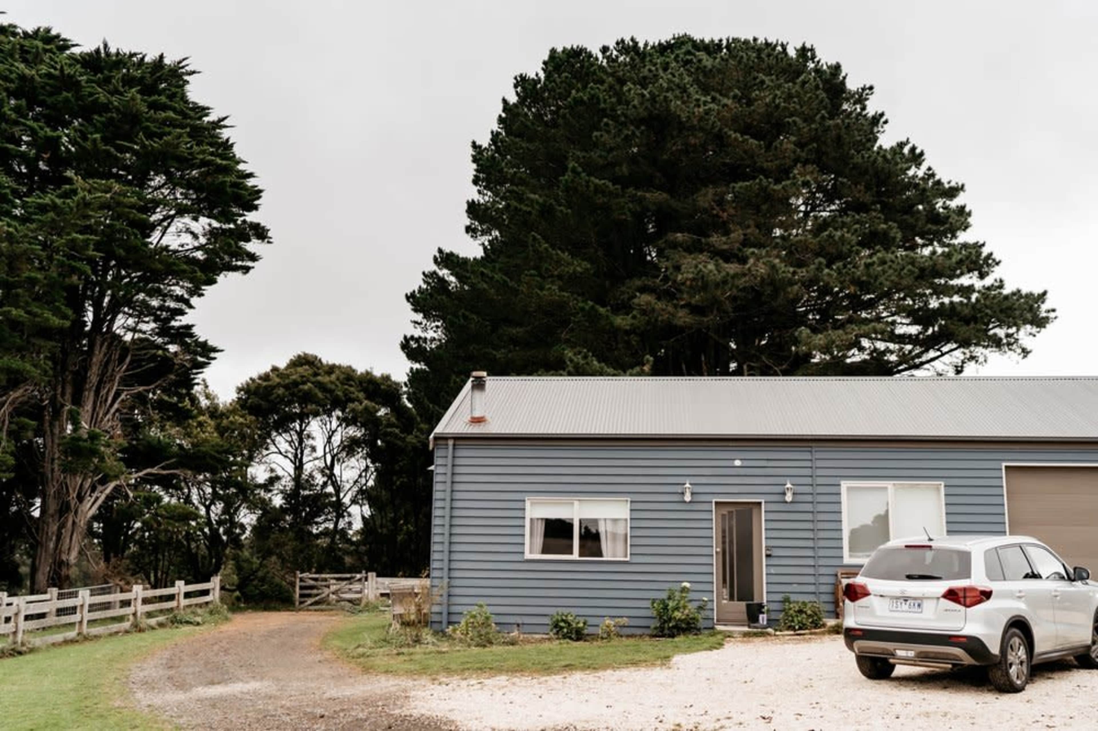 A blue house with a metal roof is situated near a gravel driveway and surrounded by tall trees.