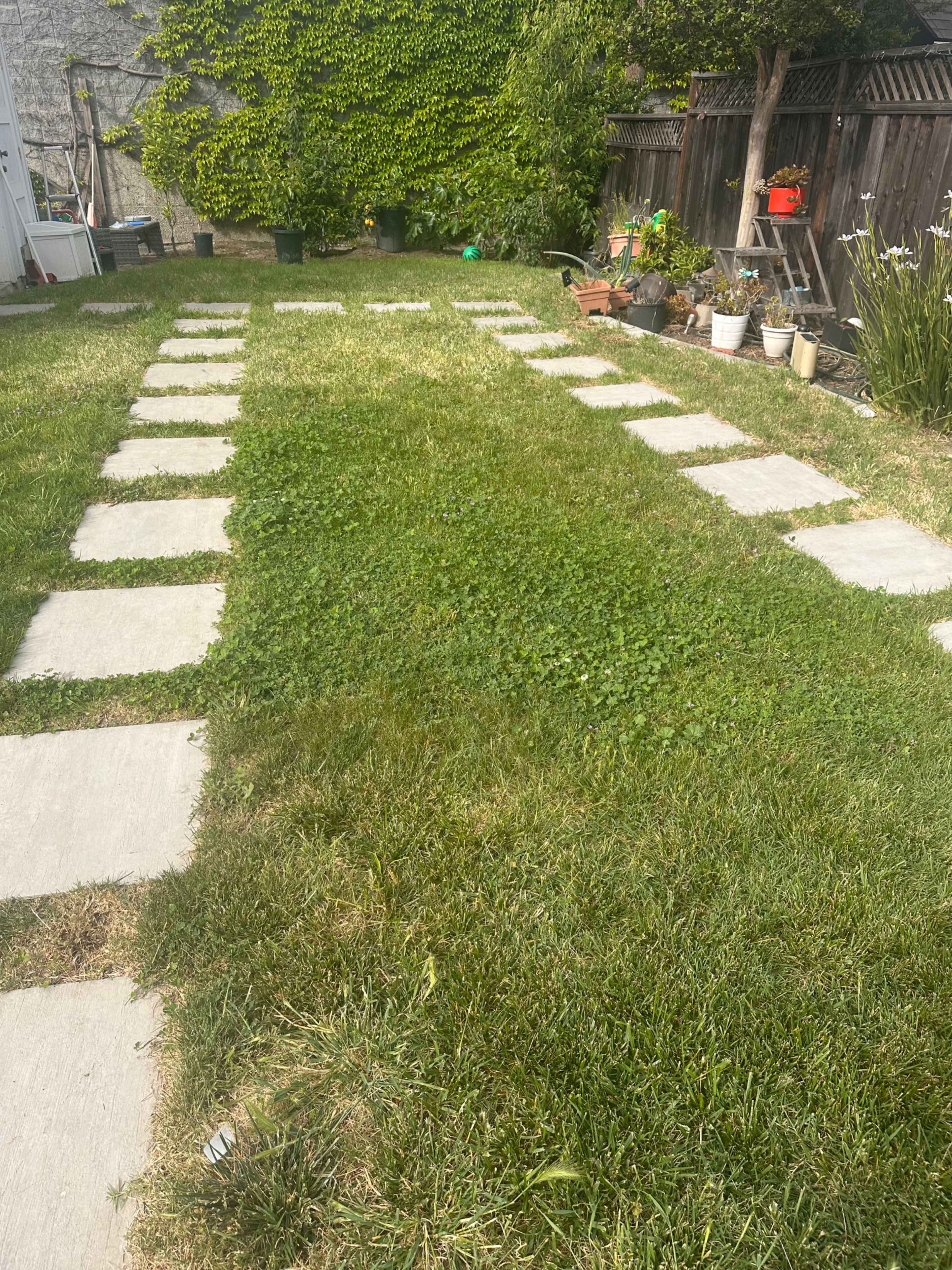 Huge Backyard for Parties / Events Image in Blacow, Fremont, CA