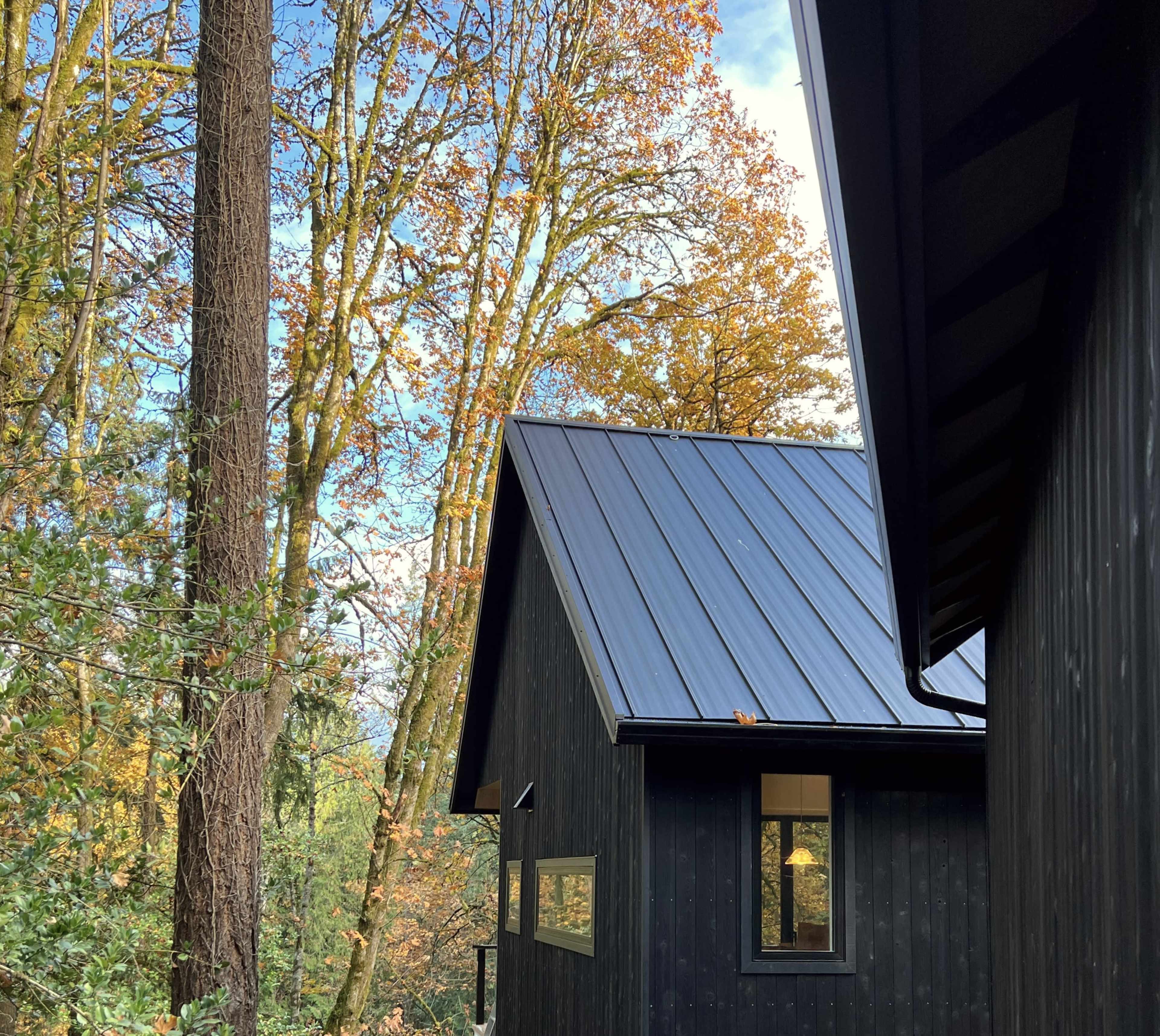 Scandinavian Modern in the West Hills Image in Southwest Portland, Portland, OR