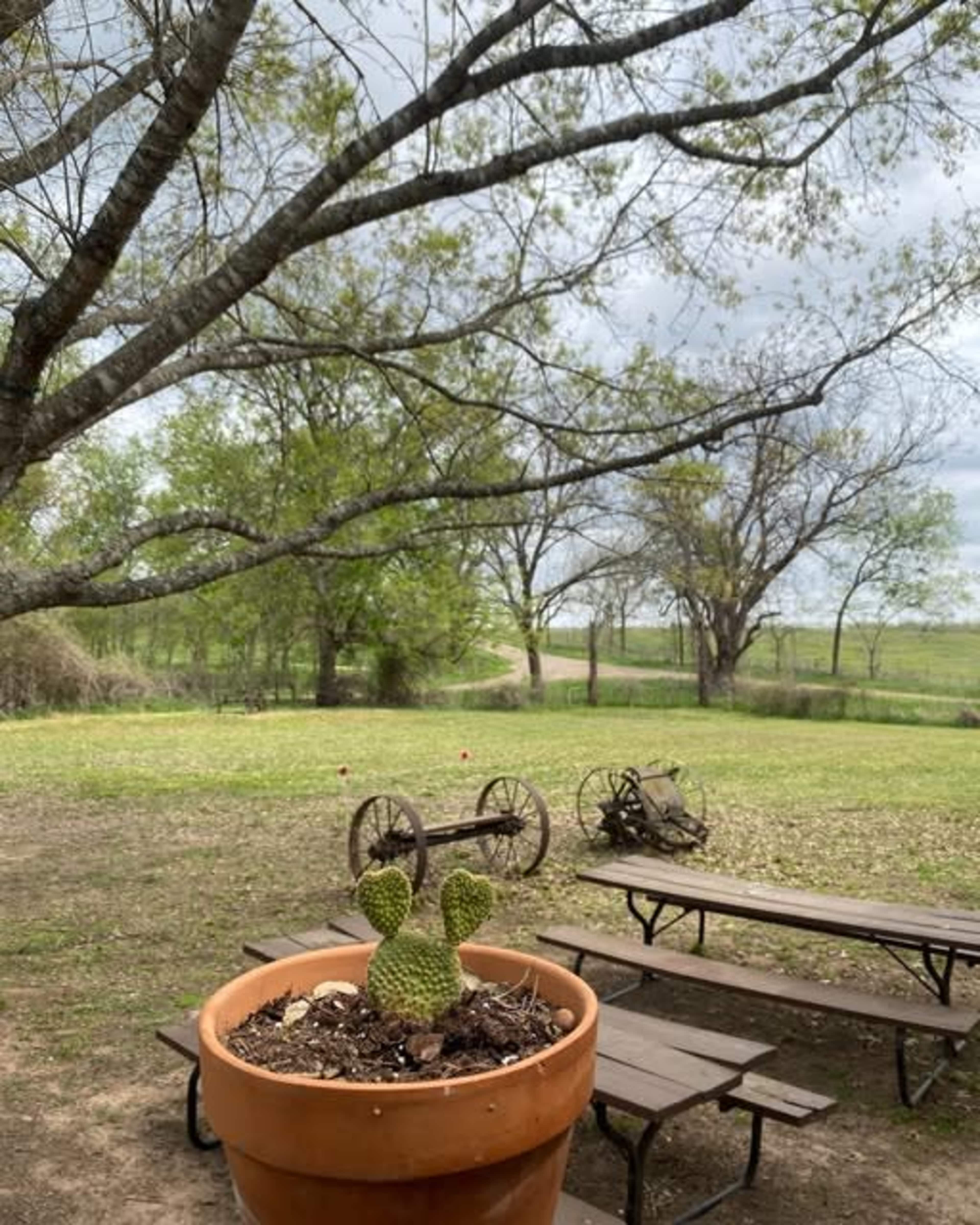 Magical dancehall located off the beaten path surrounded by Mother Nature in the country Image in , Elgin, TX