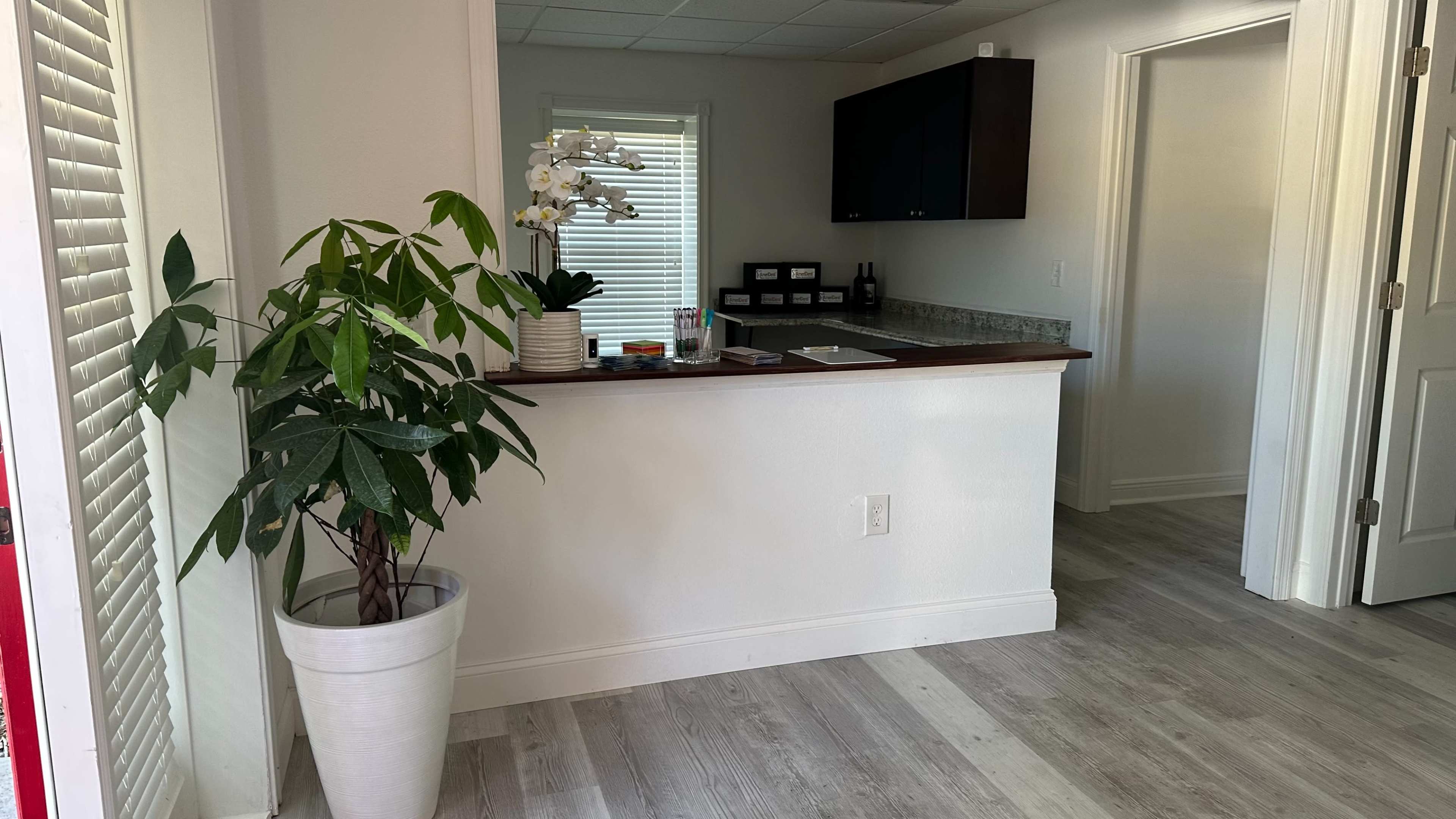 The image shows a small, modern kitchen area with a counter, potted plant, and a doorway leading to a room with light-colored walls and flooring.