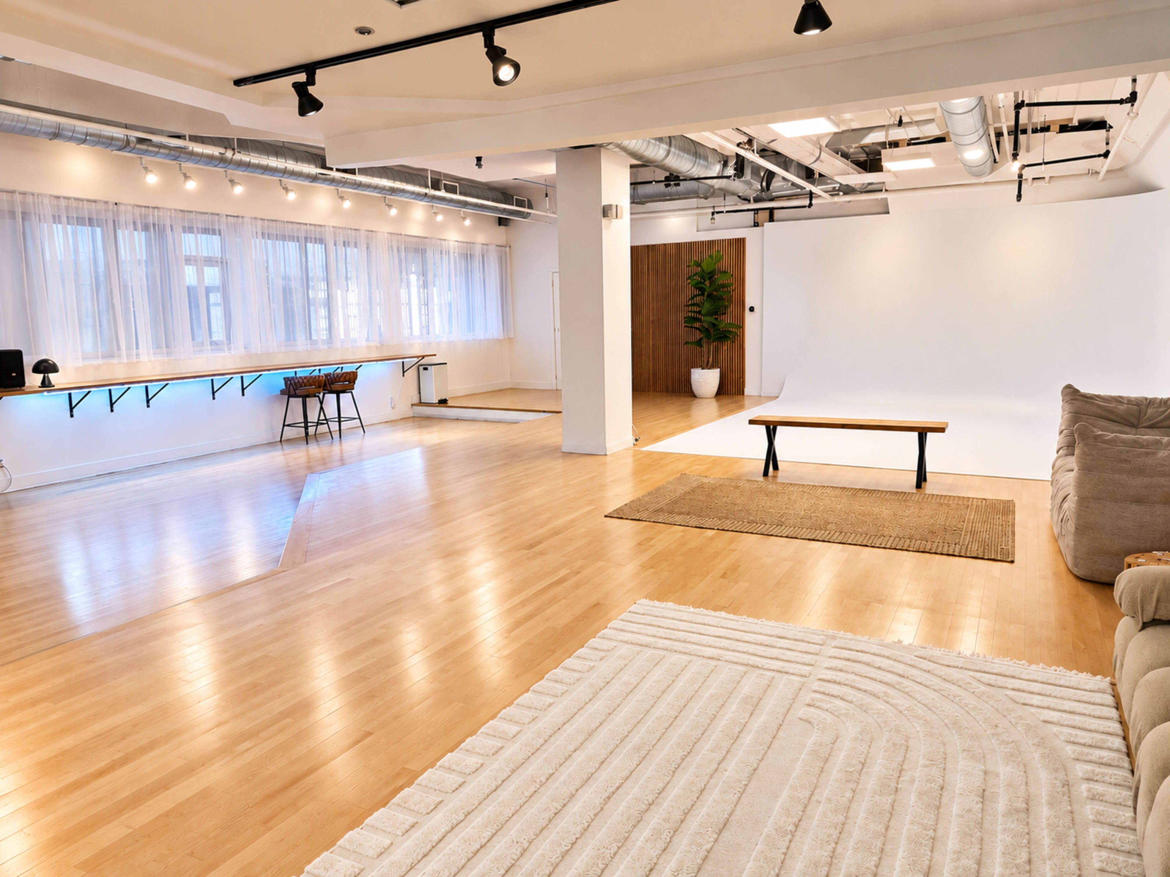 The image shows a spacious, modern studio with wooden flooring, a light-colored rug, a table setup with chairs on one side, and a backdrop area with a potted plant in the corner.