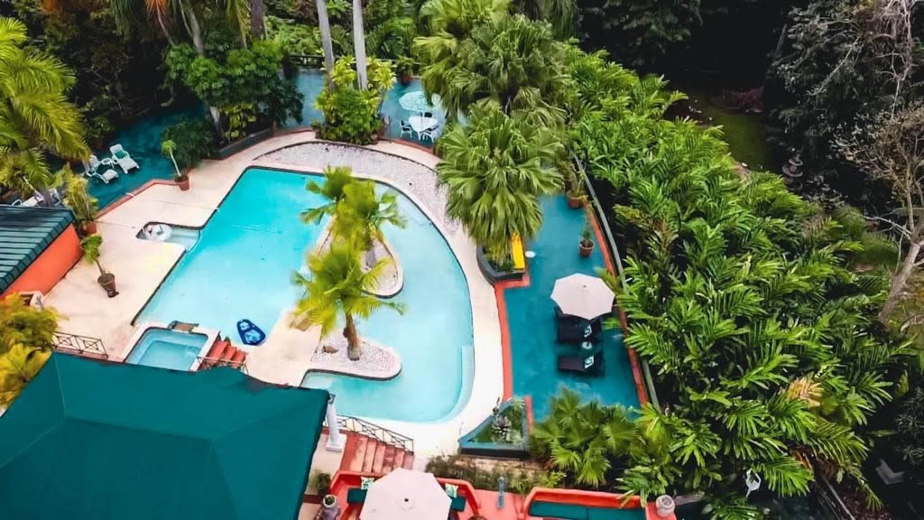 A swimming pool surrounded by palm trees and tropical plants, with seating areas and umbrellas nearby.
