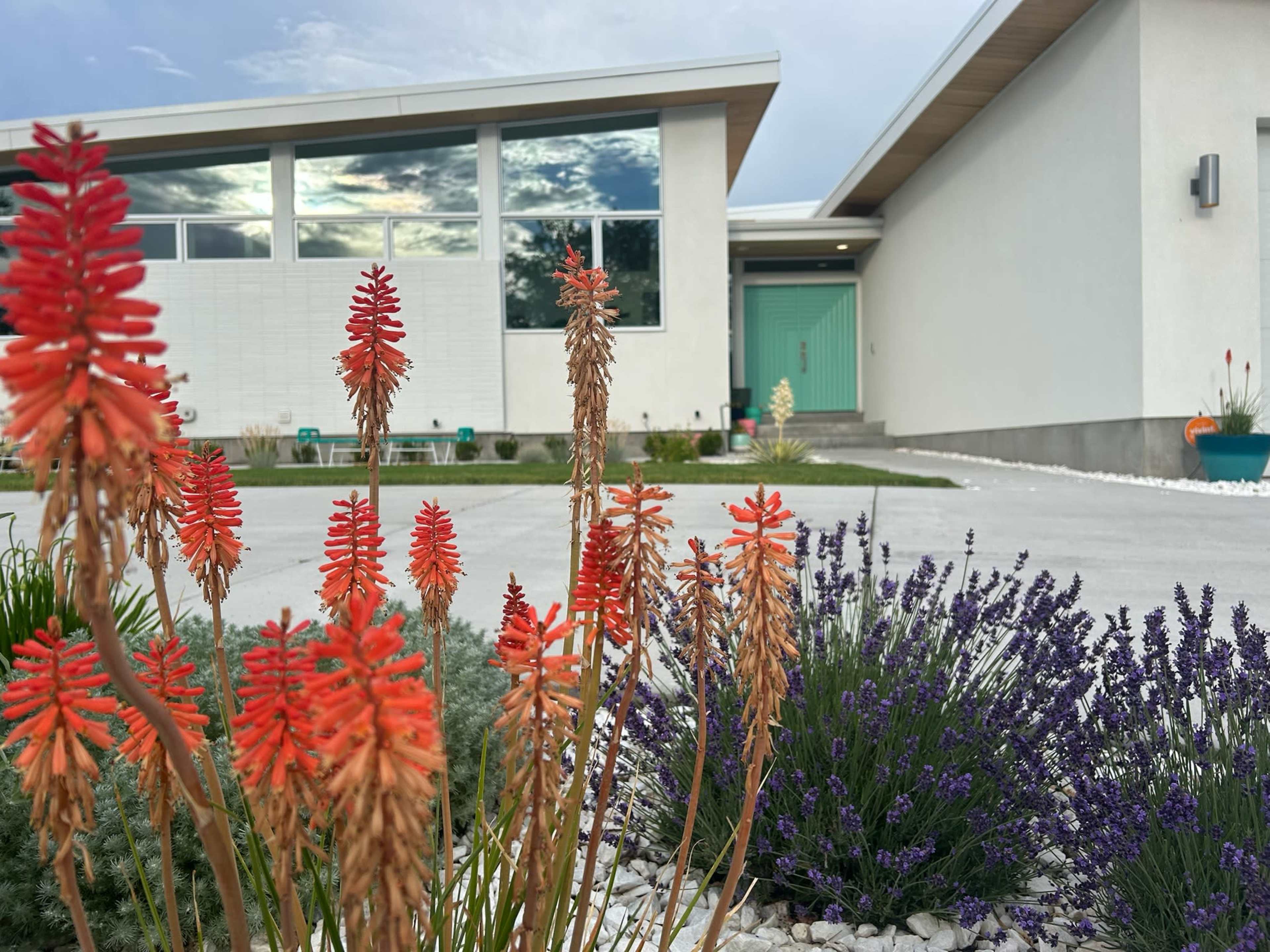 A modern building is seen in the background, surrounded by colorful flowering plants in the foreground, with a gravel walkway leading up to the entrance.