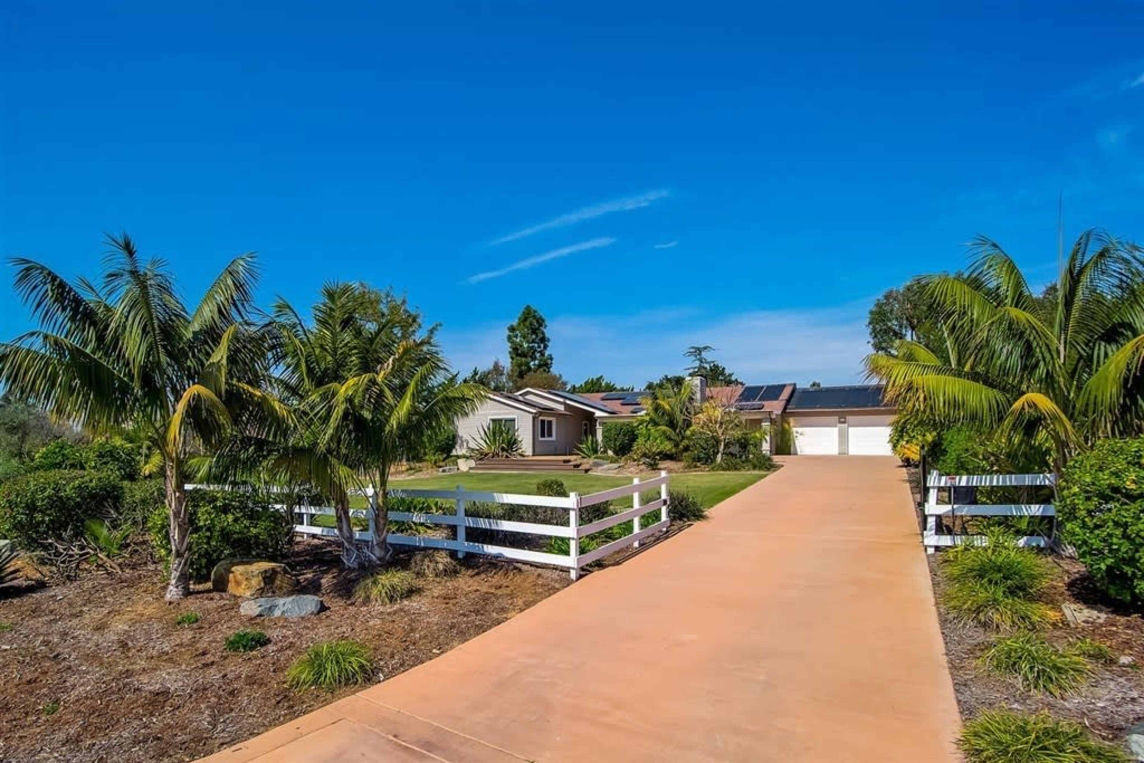 A paved driveway lined with palm trees leads to a single-story house surrounded by landscaped greenery.