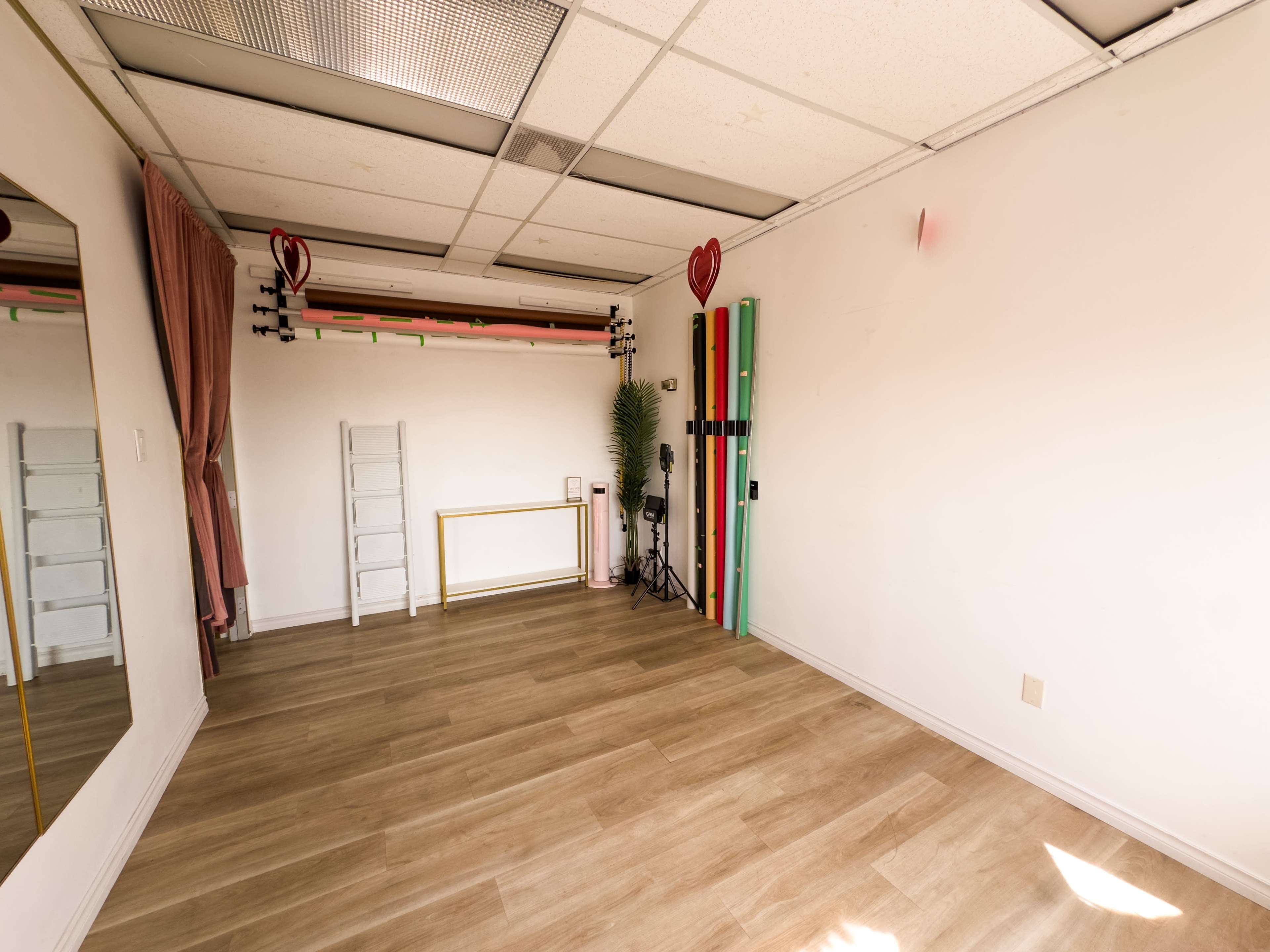 The image shows a vacant room with light-colored wooden flooring, a large mirror on one wall, and various decorative elements, including green plants and wall-mounted accessories.