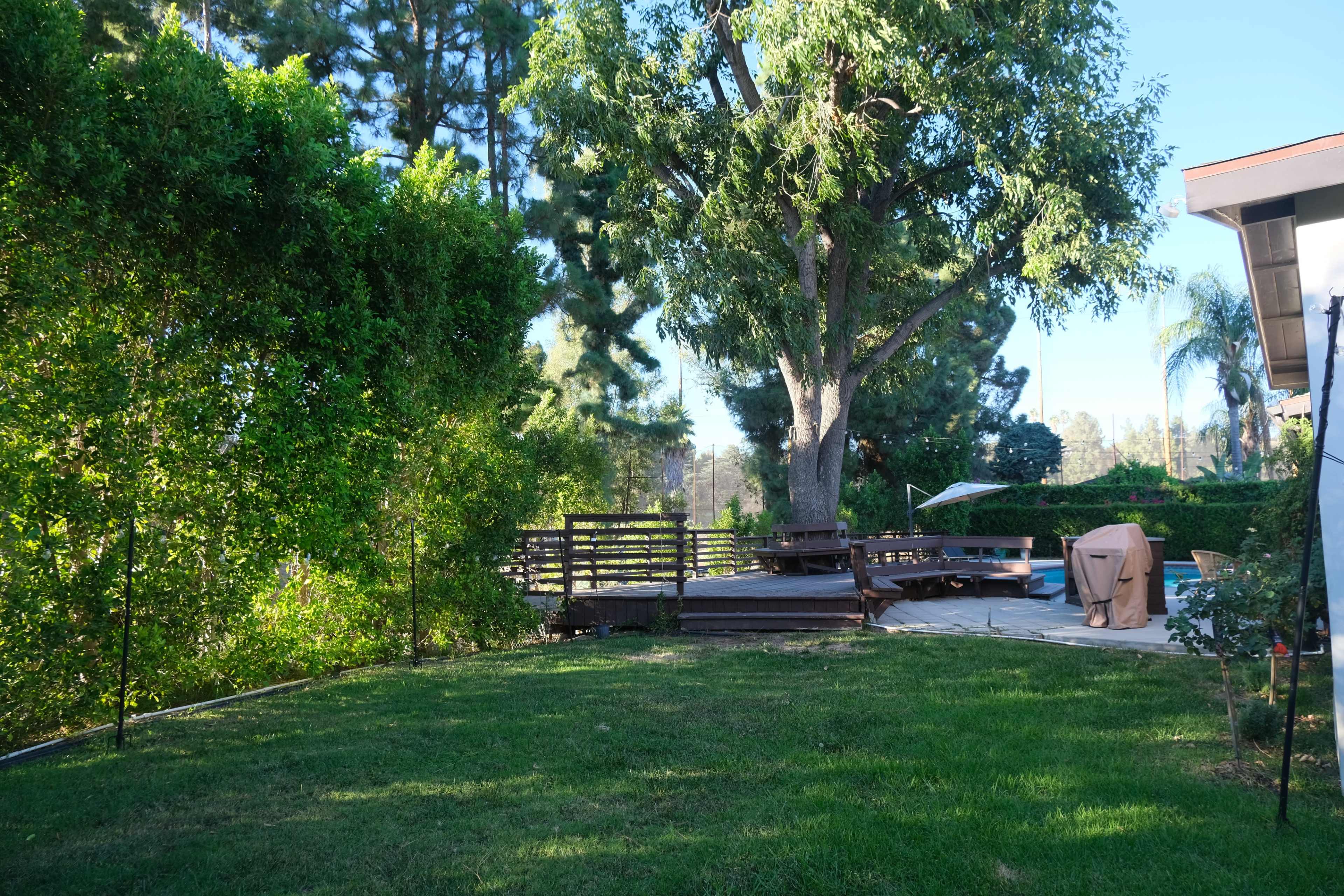 The image shows a backyard with a grassy area, a wooden deck surrounded by trees, and a table set underneath a large tree.