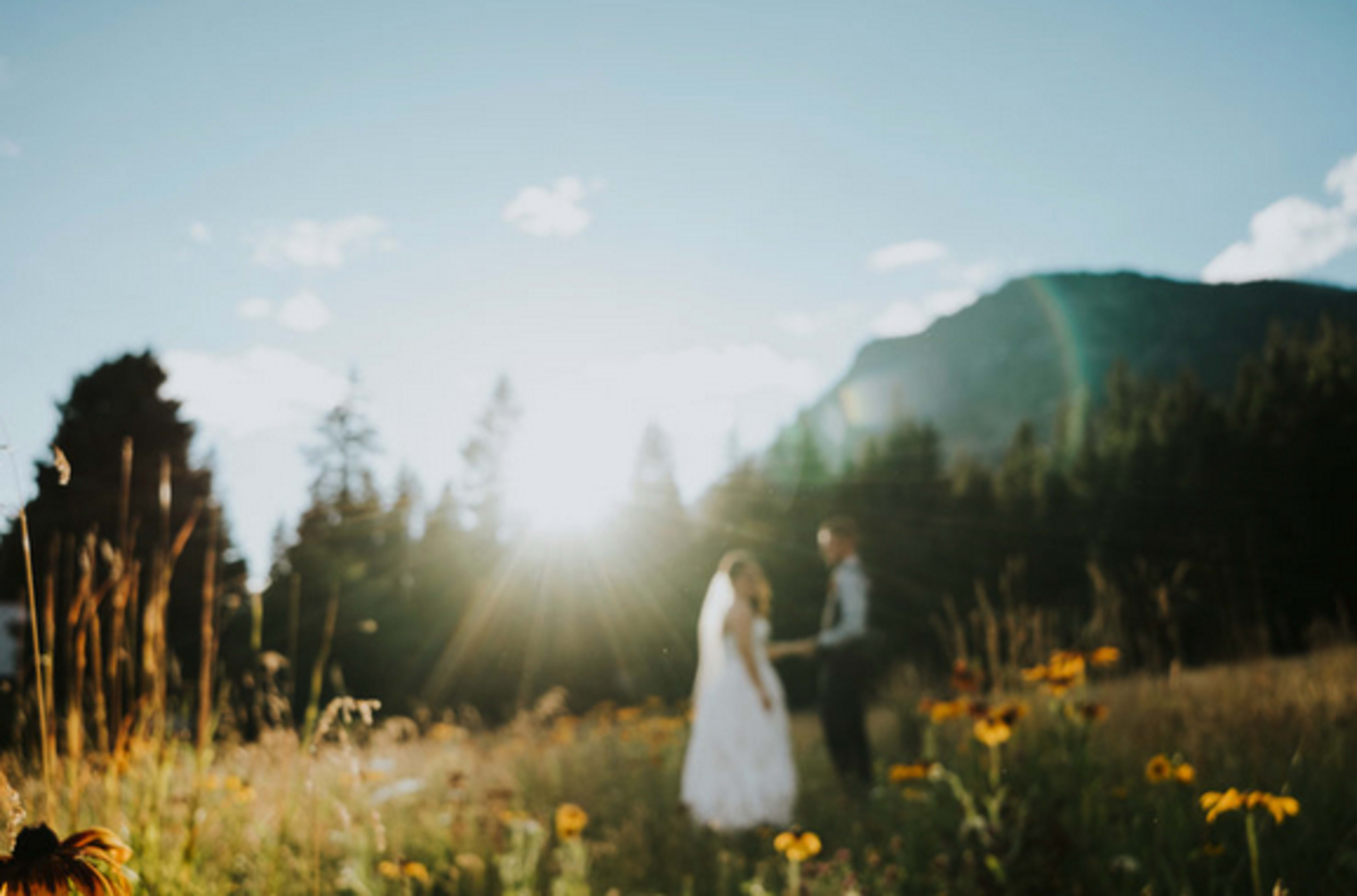 A bride and groom stand in a sunlit field surrounded by wildflowers and tall grass, with mountains in the background.