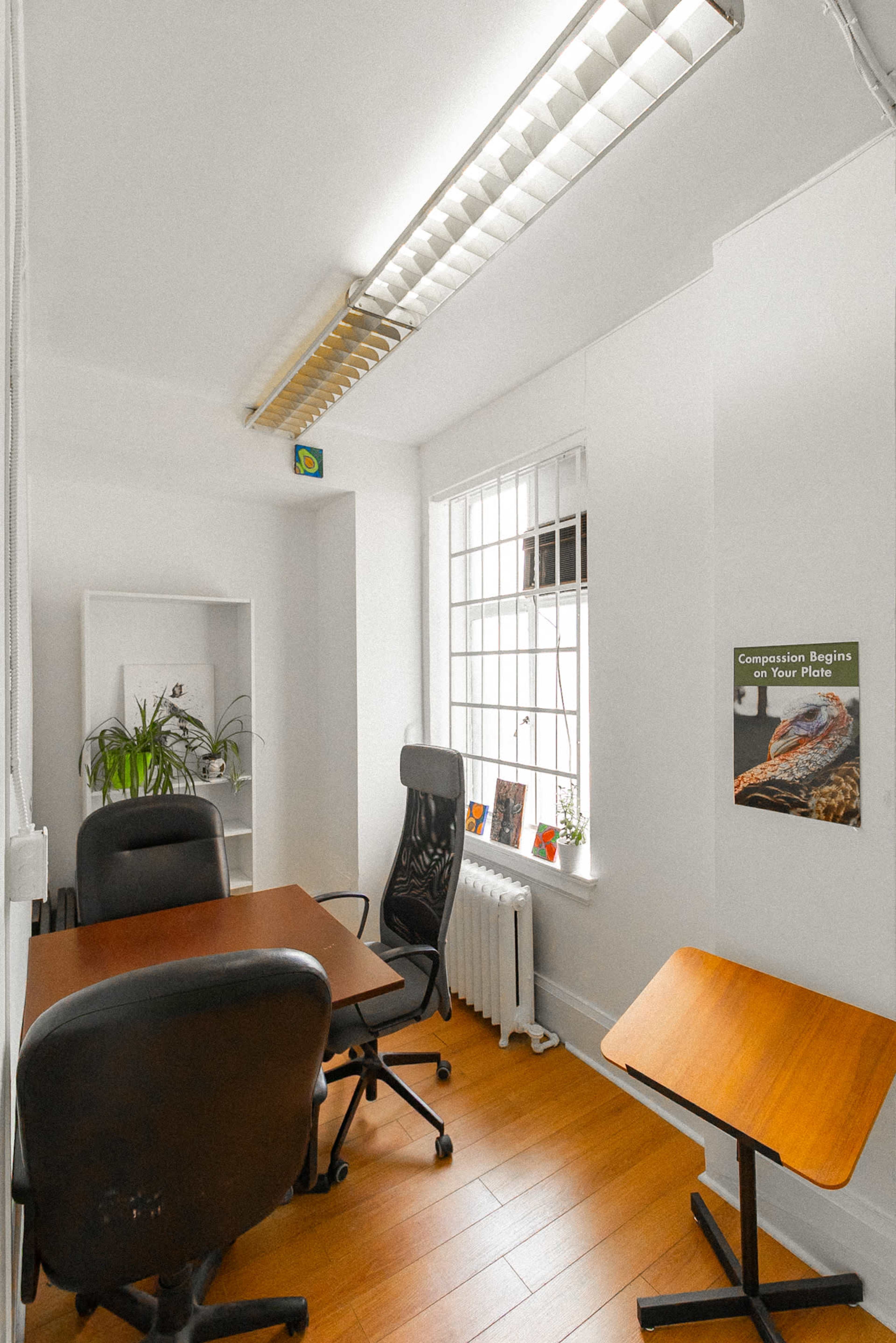 The image depicts a small, bright office space furnished with two chairs and three tables, featuring a window with natural light and decorative plants.