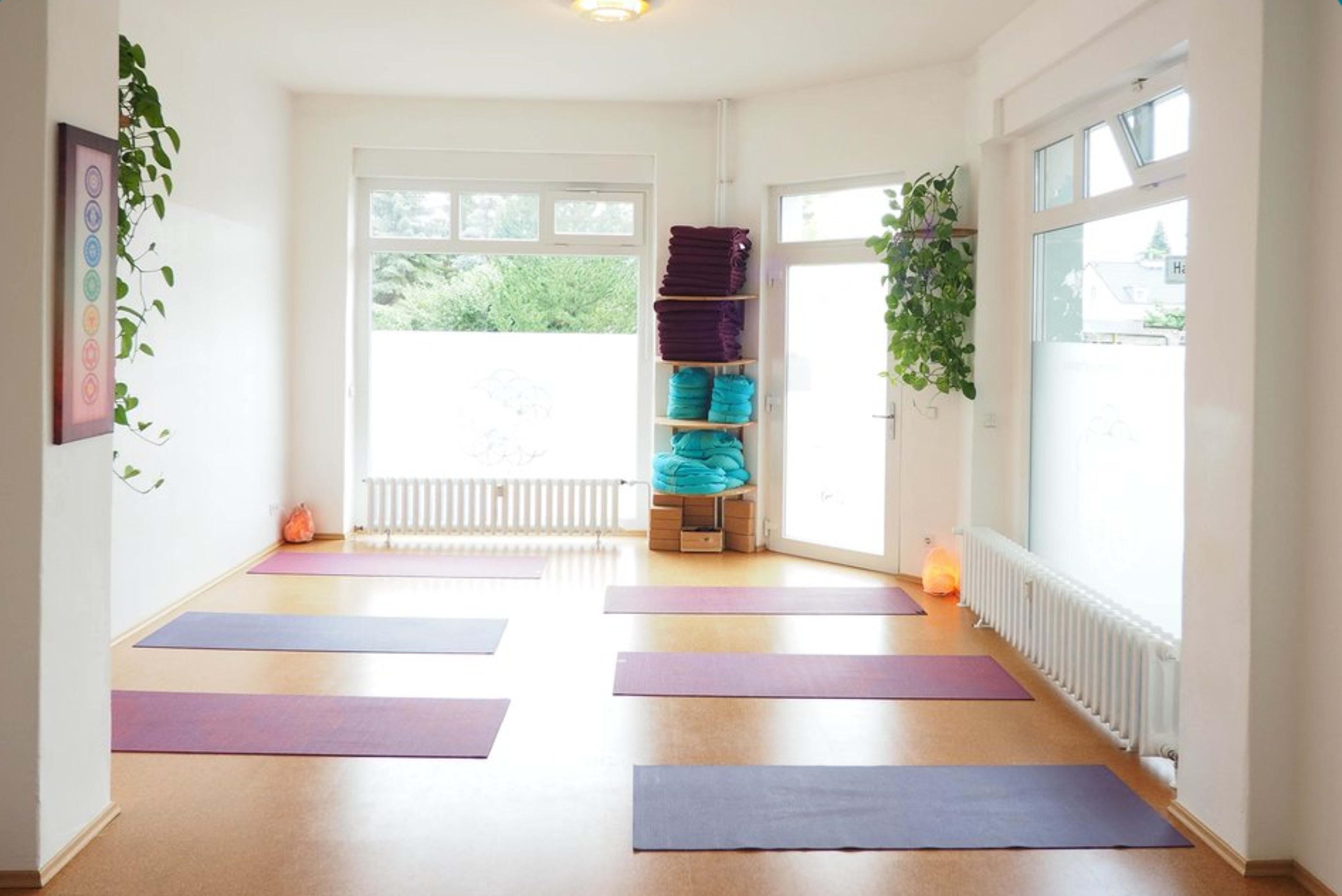 A bright yoga studio with multiple yoga mats arranged on the floor, surrounded by plants and neatly stacked towels.