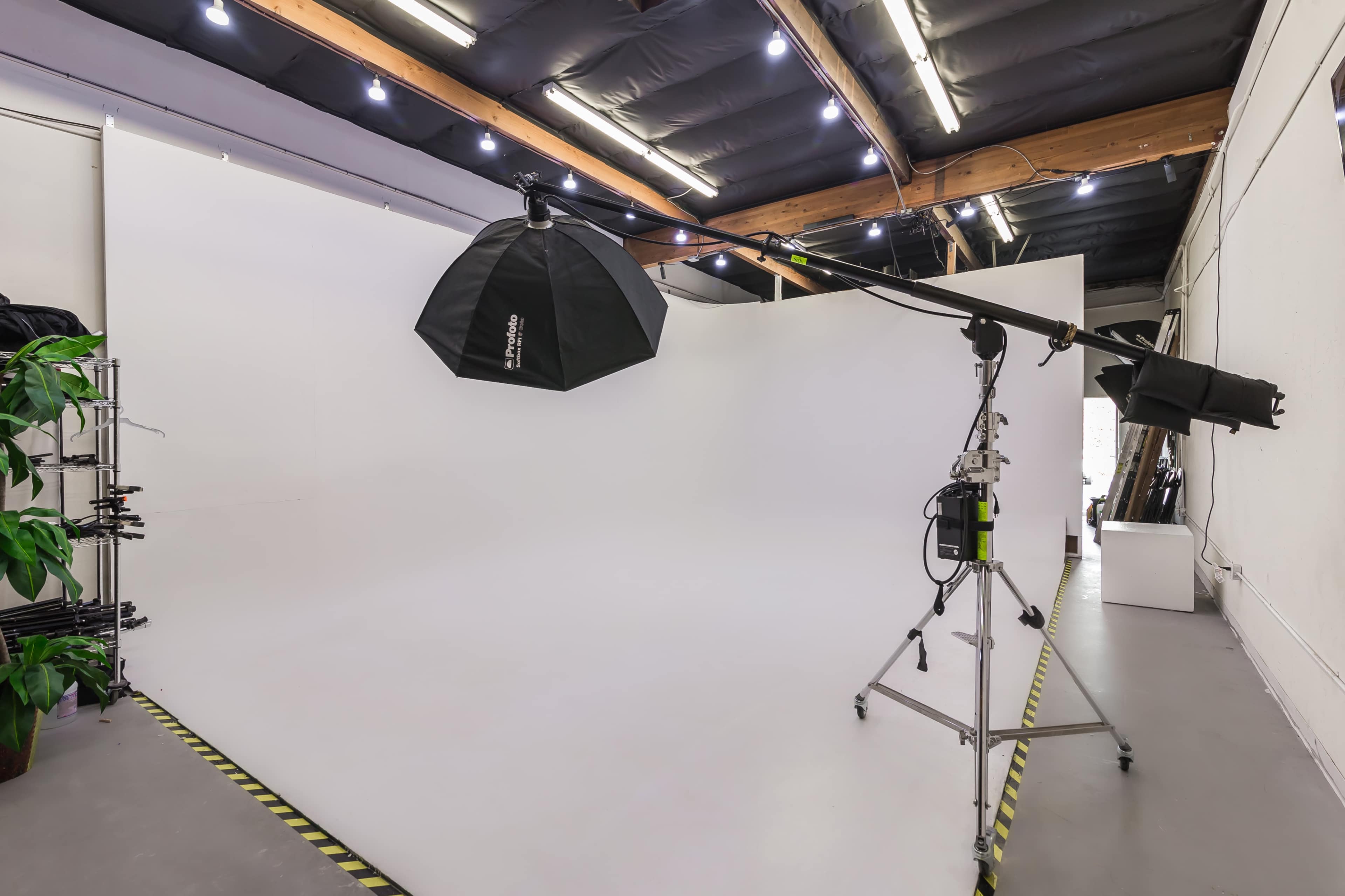 The image shows a photography studio with a white backdrop, lighting equipment, and a plant in the corner.