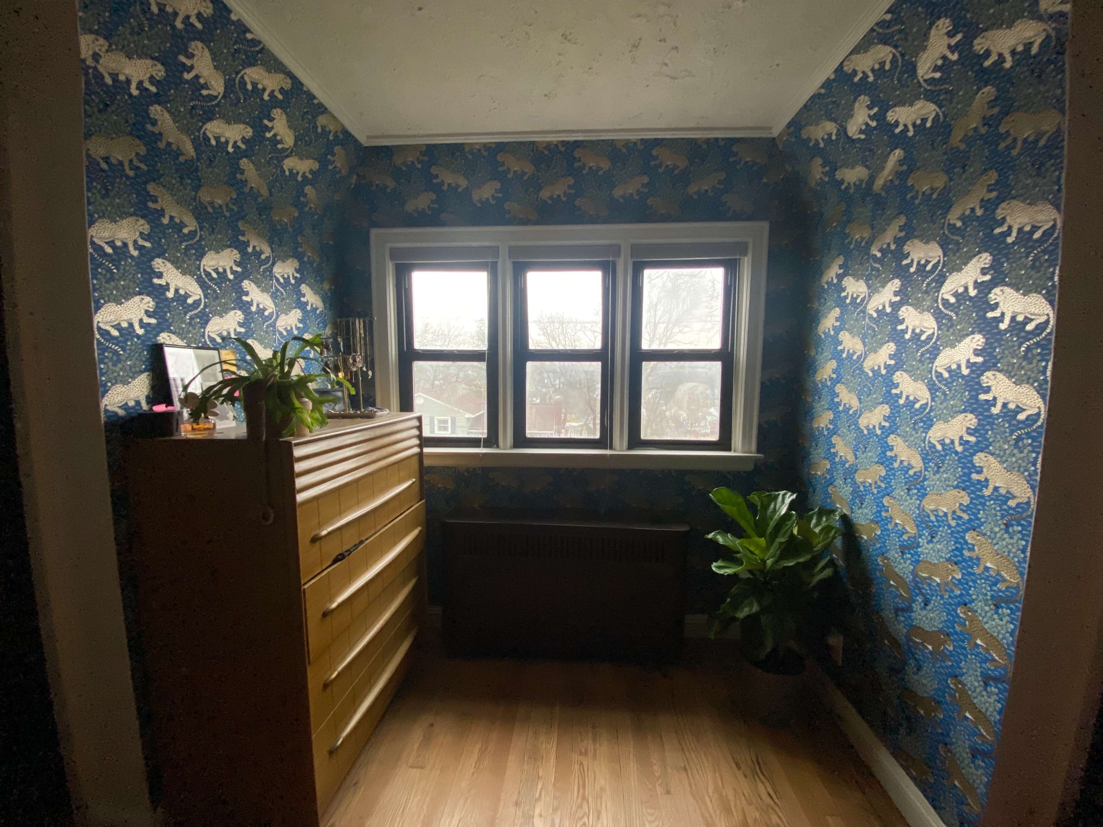 A corner of a room features a dresser, a plant, and patterned wallpaper with animal designs, beside a window with a view outside.
