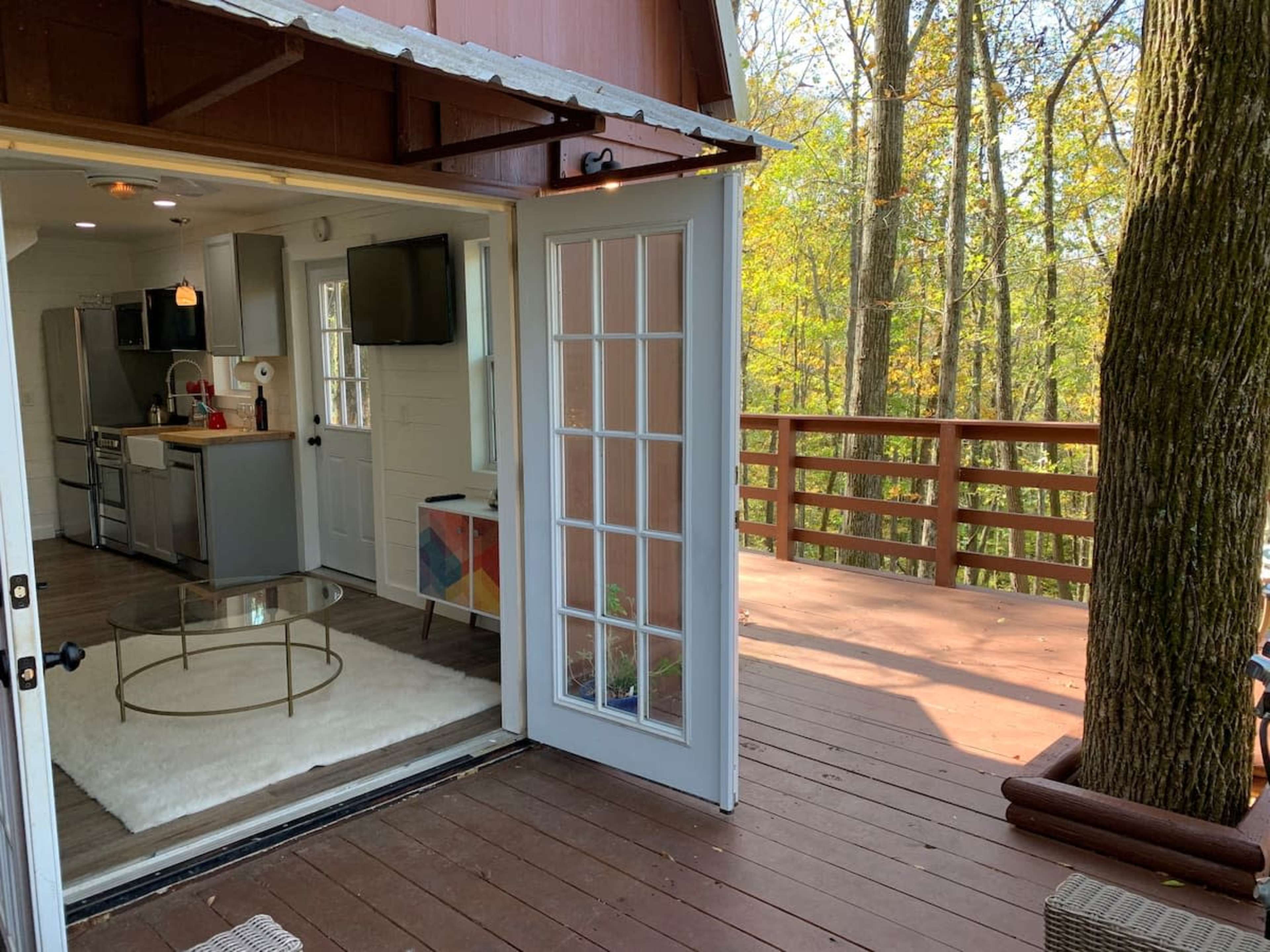 A modern cabin interior opens to a wooden deck surrounded by trees.