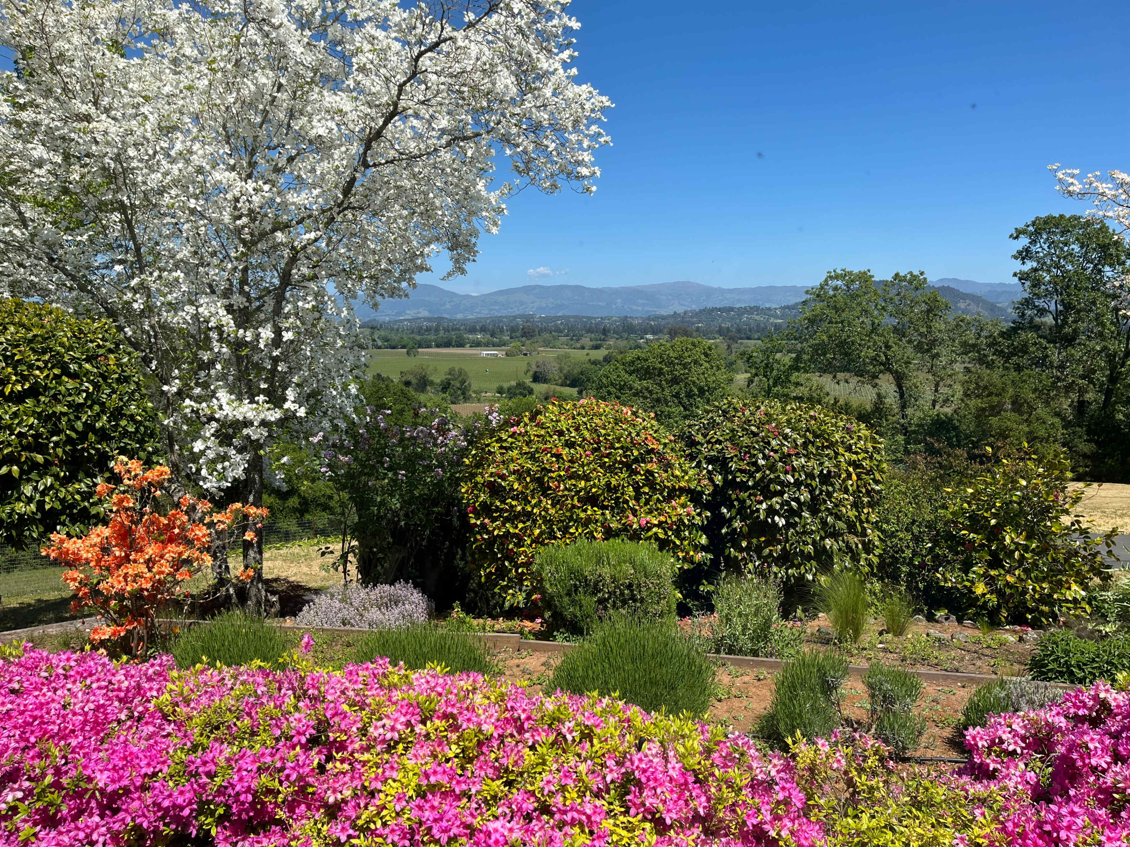 A vibrant garden filled with colorful flowers and shrubs overlooks a lush landscape and distant mountains under a clear blue sky.