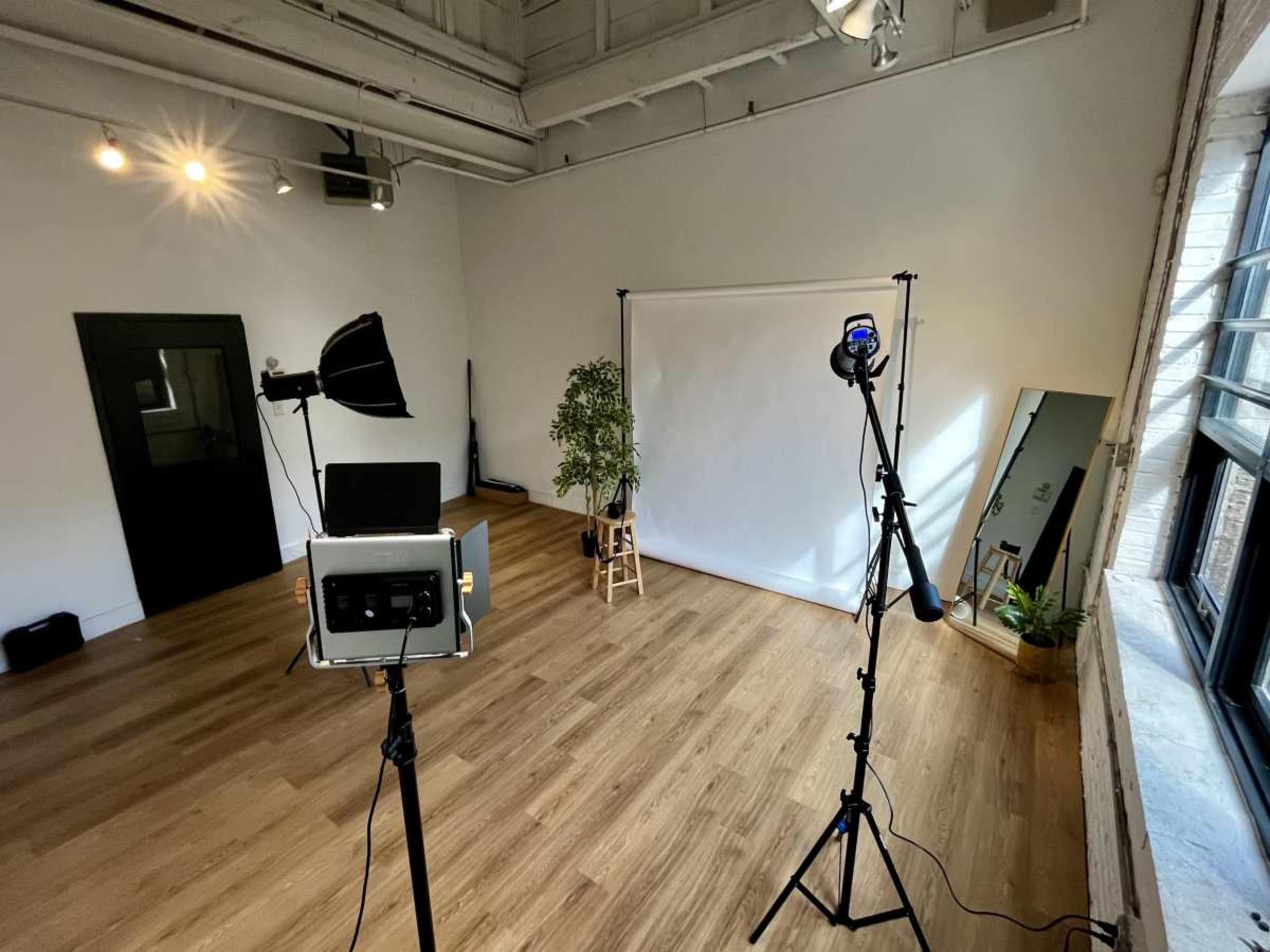 A spacious studio setting with camera equipment, lighting, a white backdrop, and a few plants arranged around a wooden floor.