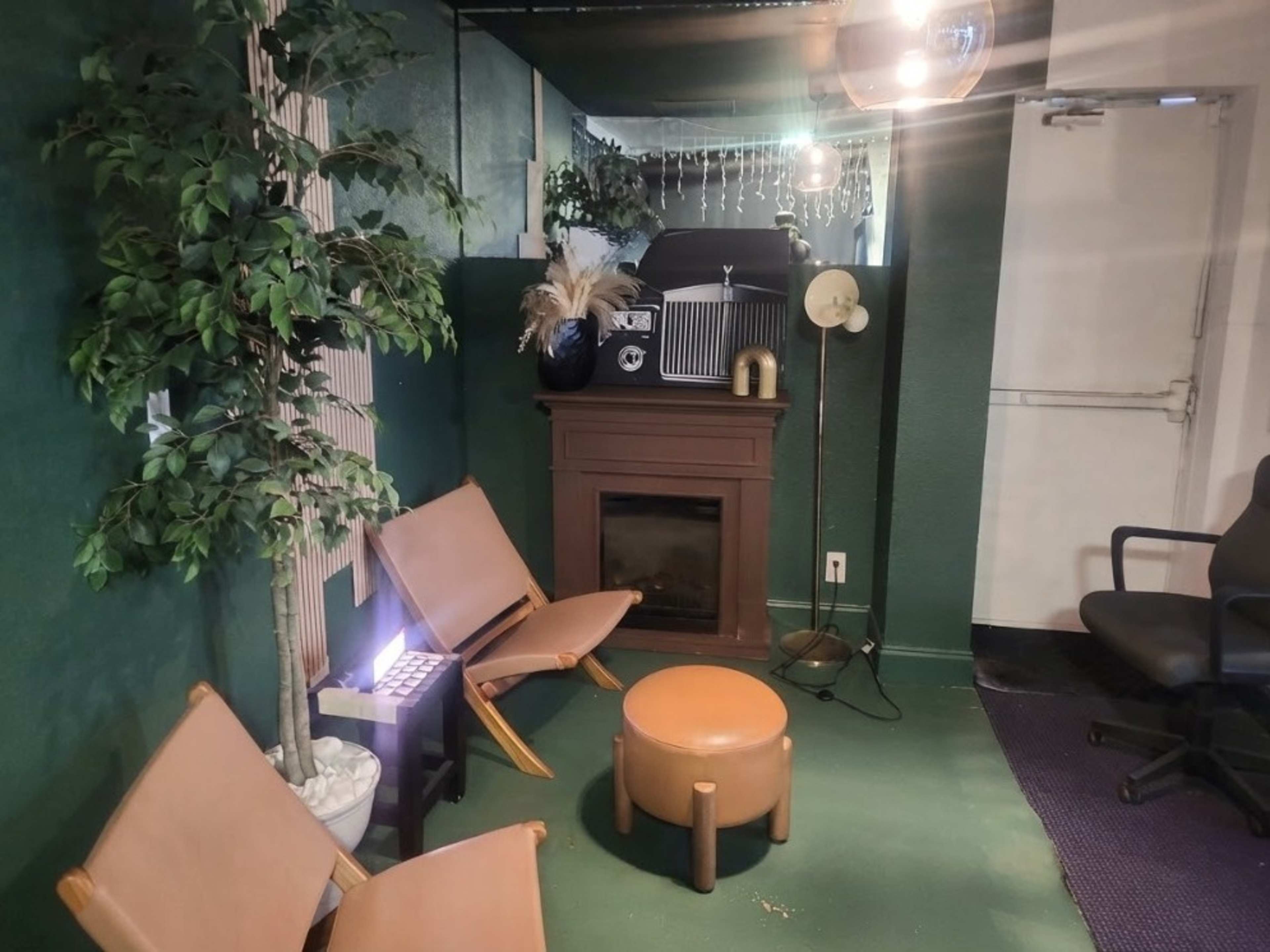 Green Décor Experience | Stylish Photo & Video Set
