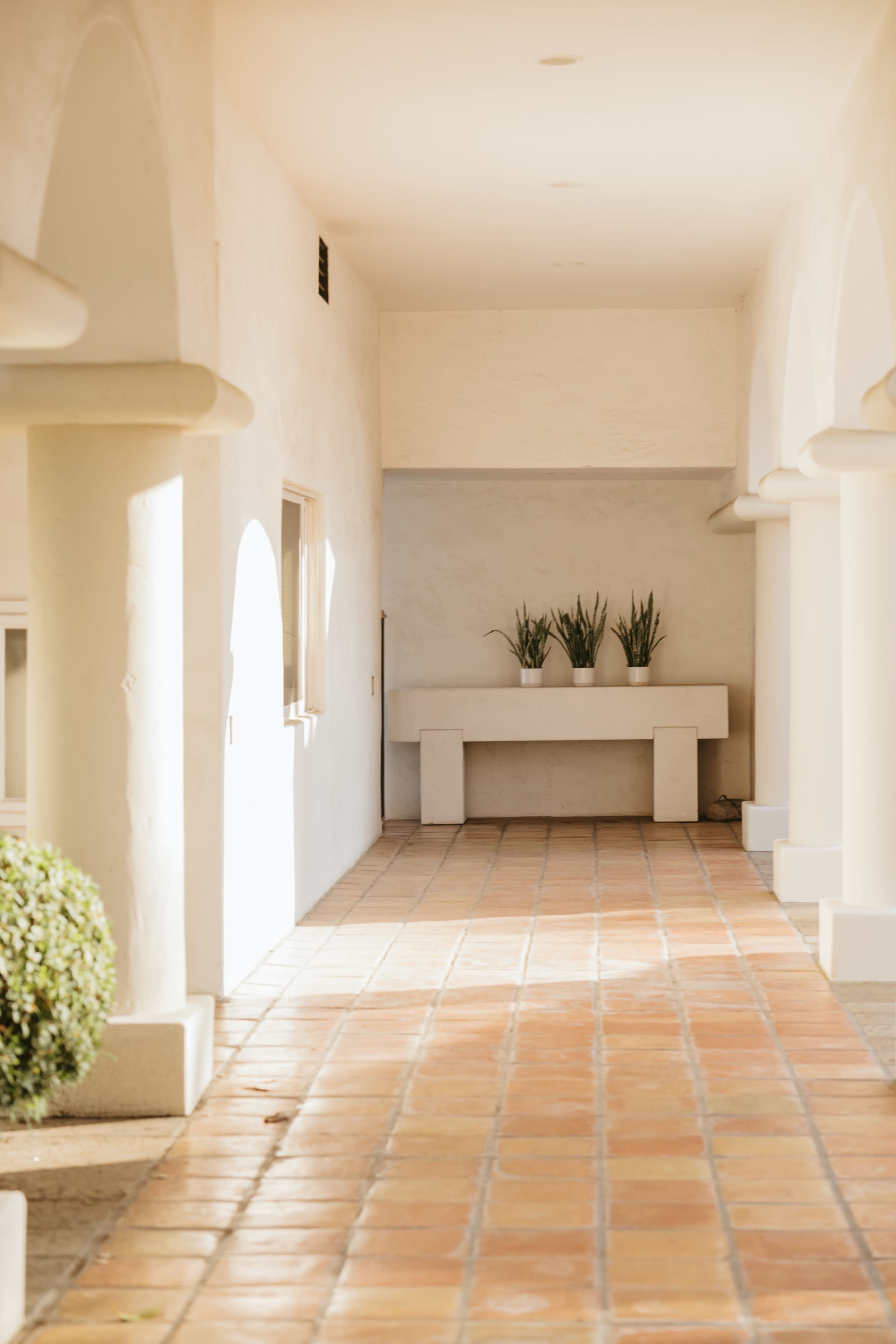 A long, well-lit corridor with white walls, tiled flooring, and potted plants on a table at the end.