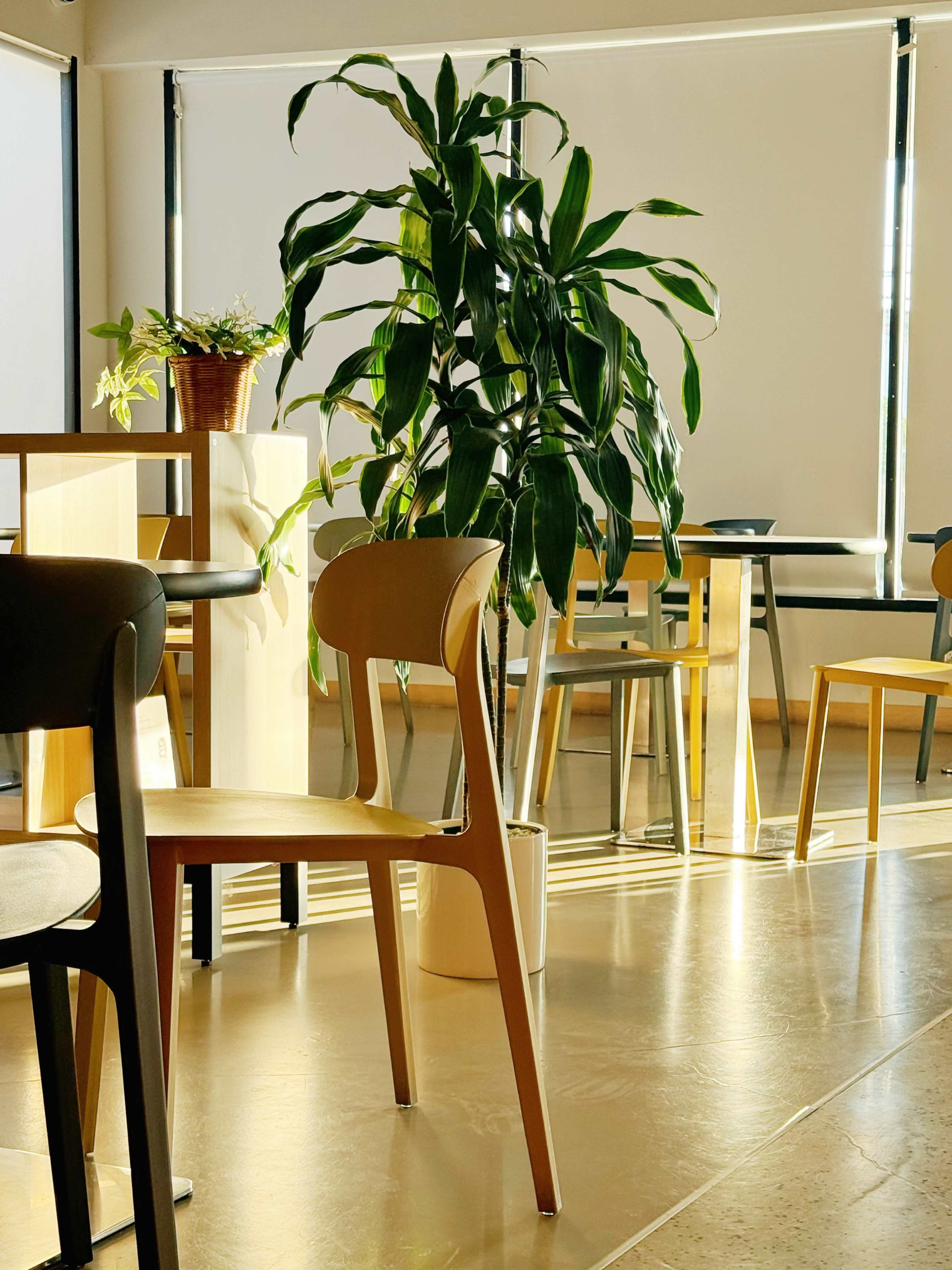 Bubble Tea House With Cozy Open Space Image in Walnut, Walnut, CA