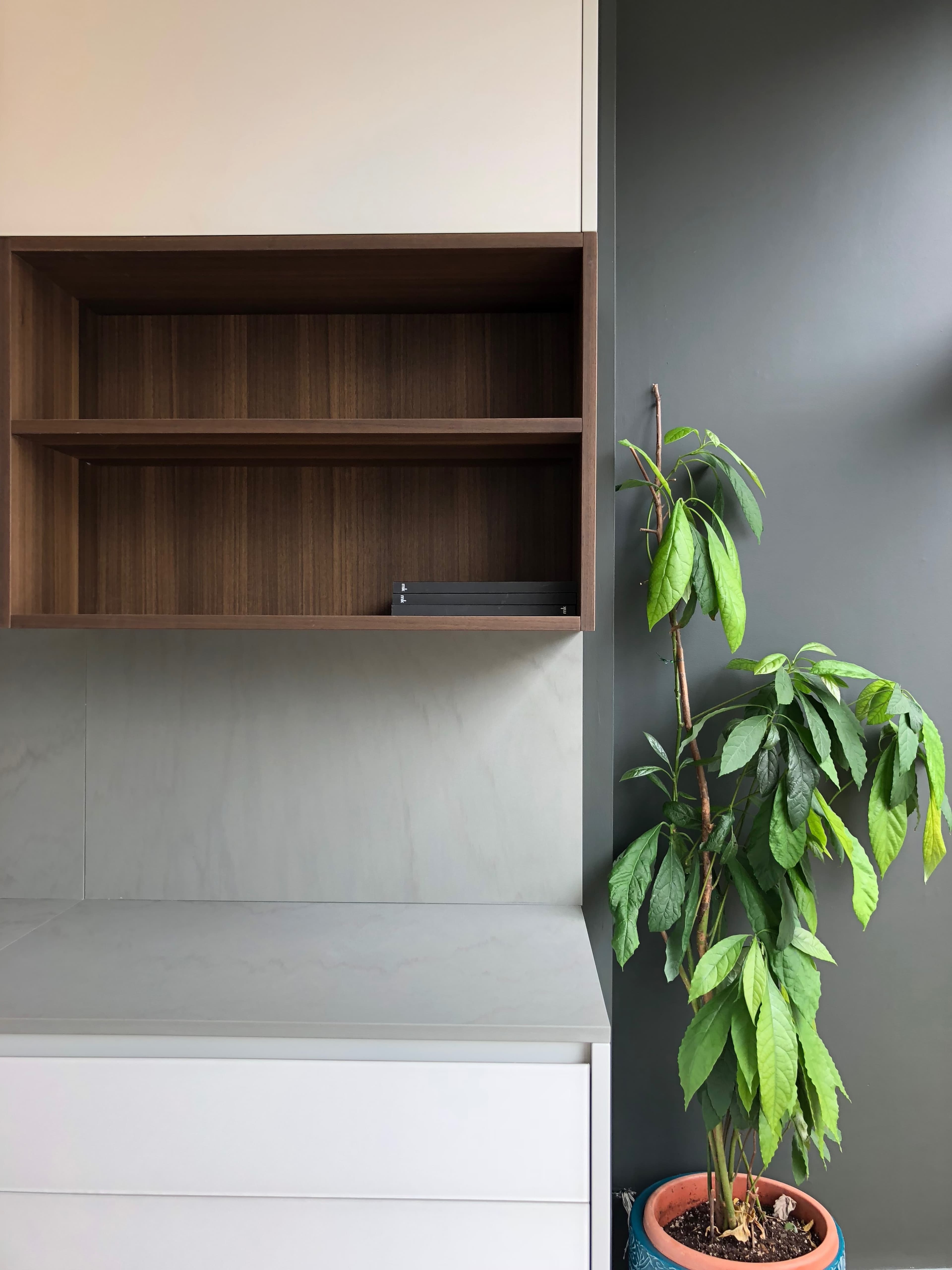 A modern interior with a wall-mounted wooden shelf and a potted plant in a corner of a room.