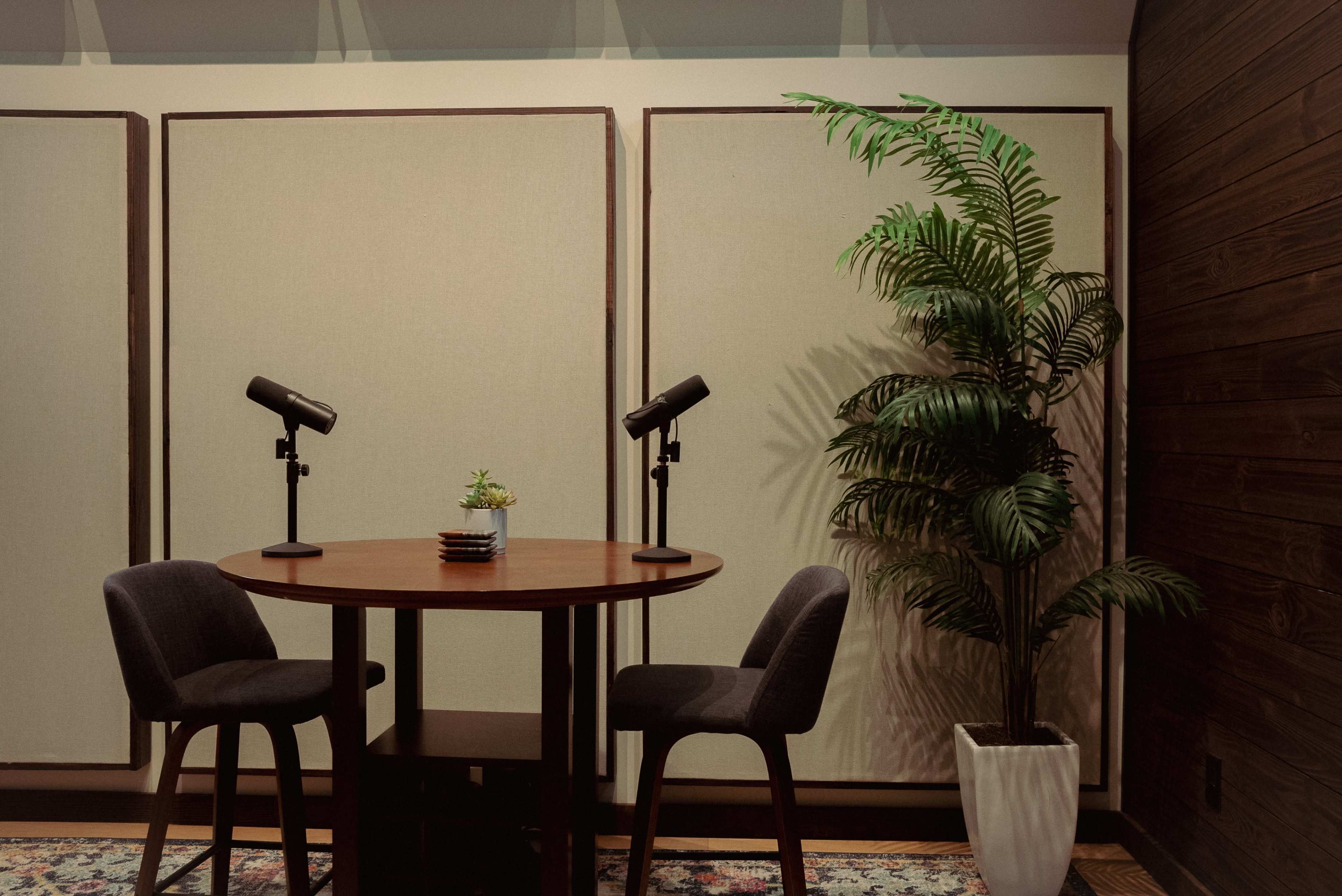 A small recording studio features a round wooden table with two chairs, microphones mounted on stands, and a potted plant beside a textured wall.