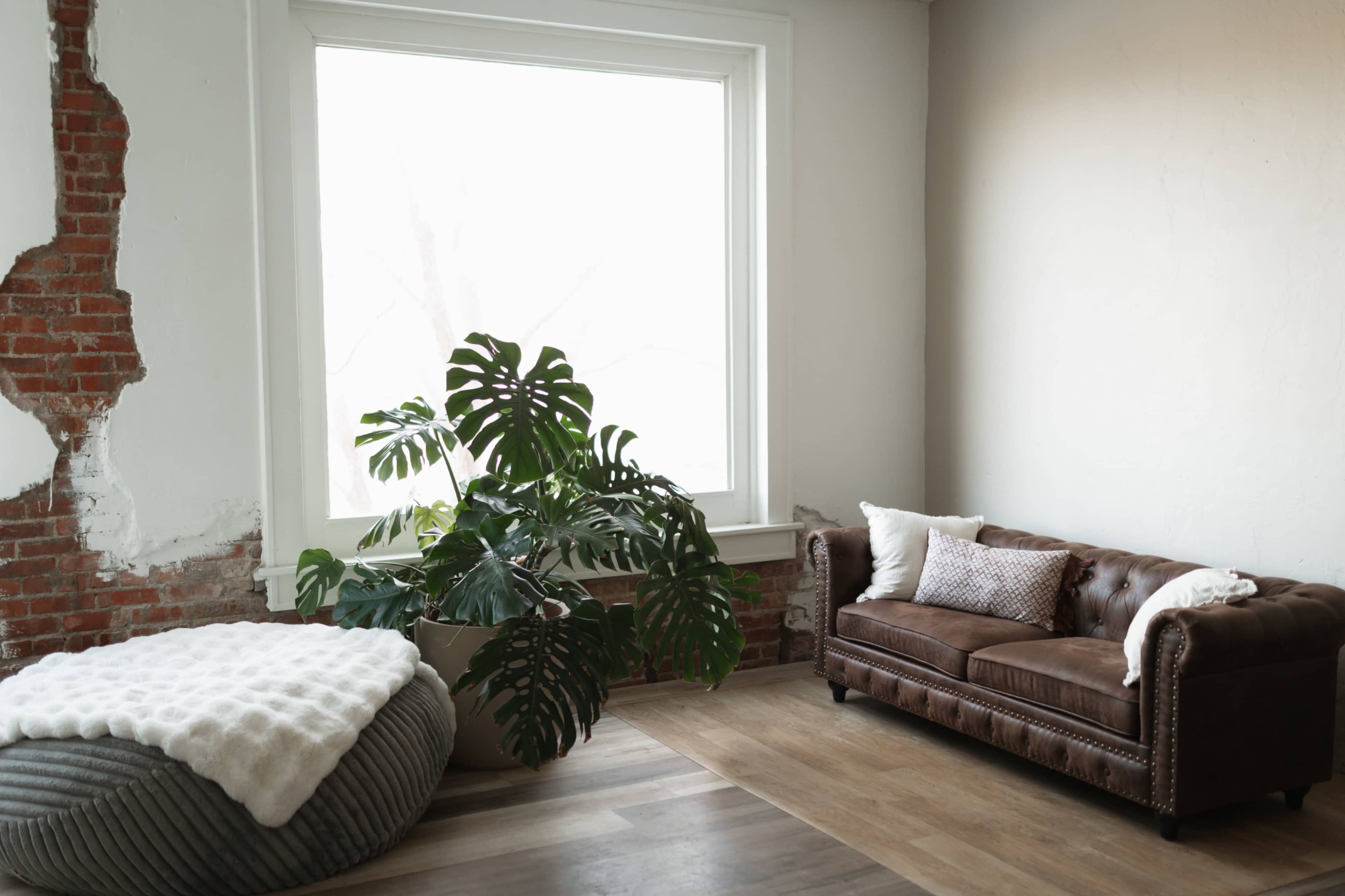 A cozy living room features a brown leather couch next to a large window and a decorative potted plant, with a textured ottoman in front.