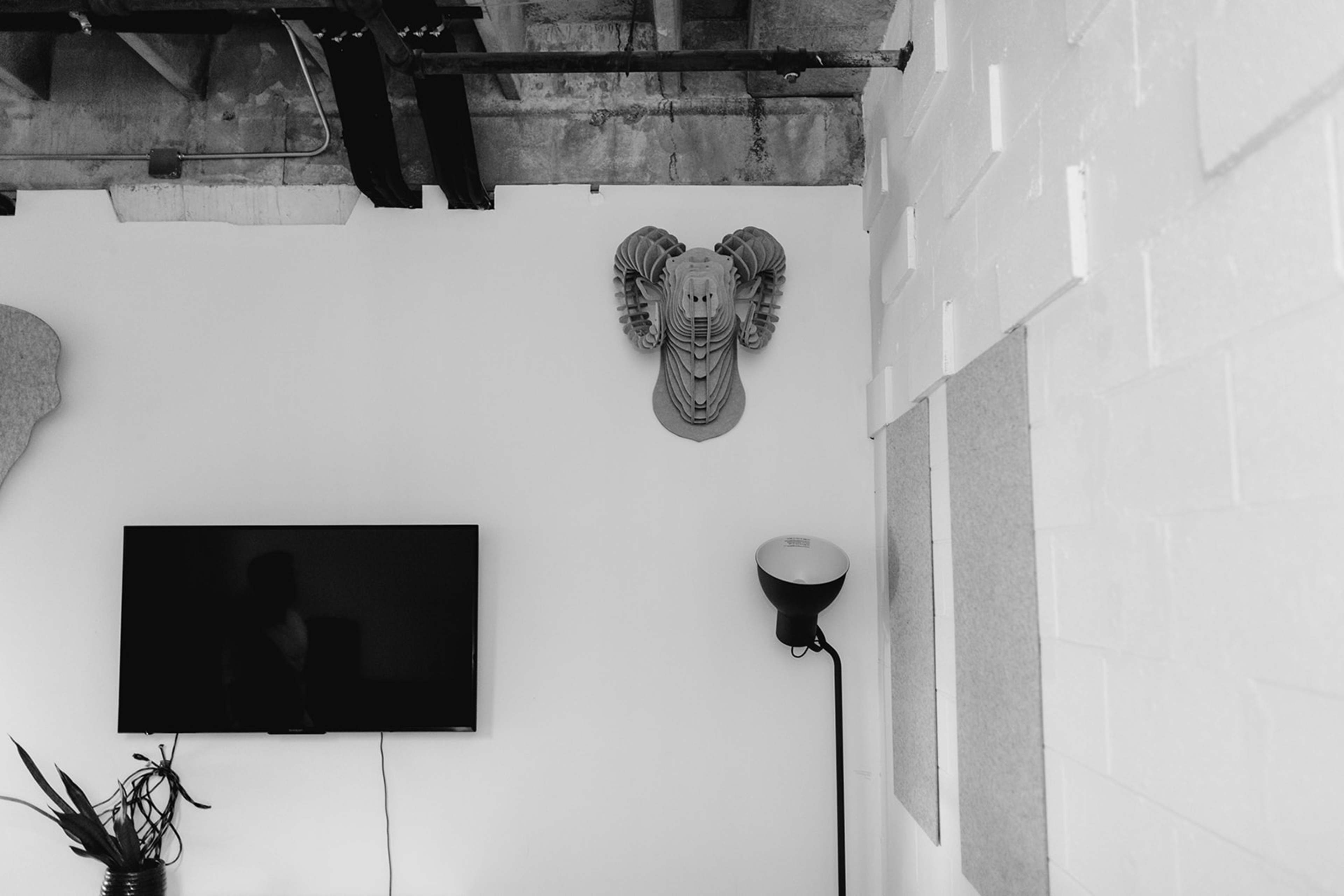 The image shows a wall with a mounted ram's head sculpture, a television on the opposite wall, and a floor lamp in a minimalist room.