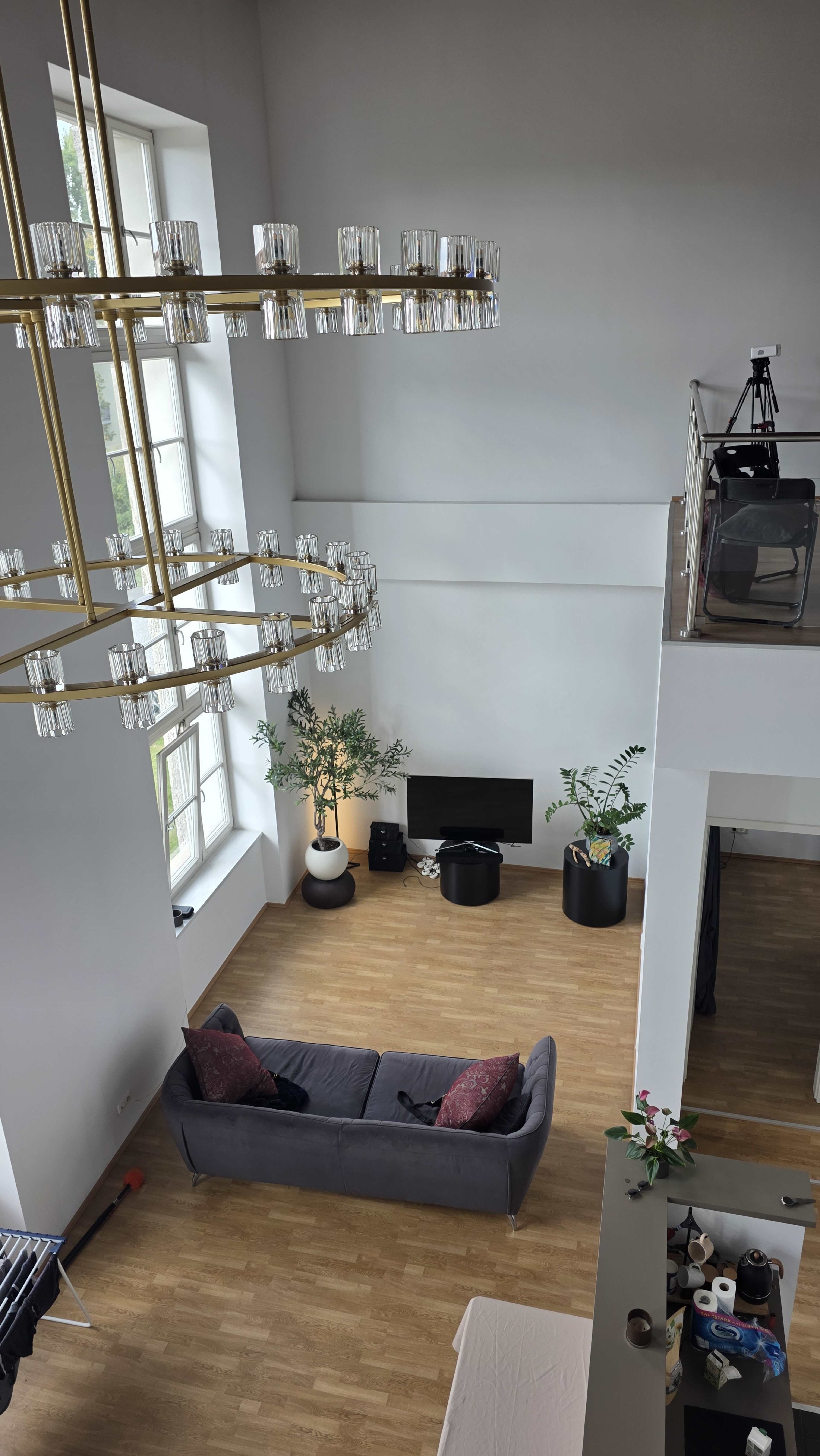 The image shows a spacious living room with tall windows, a gray sofa, a television, and two potted plants, illuminated by a modern chandelier.