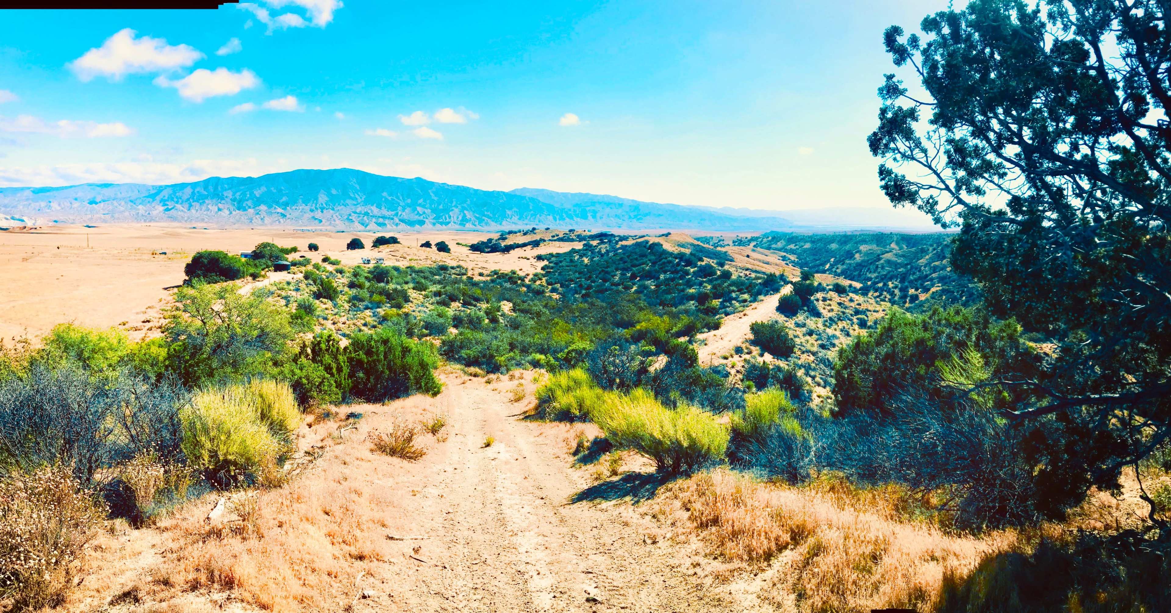A dirt path winds through grassy hills and sparse vegetation, leading towards a distant mountain range under a clear blue sky.