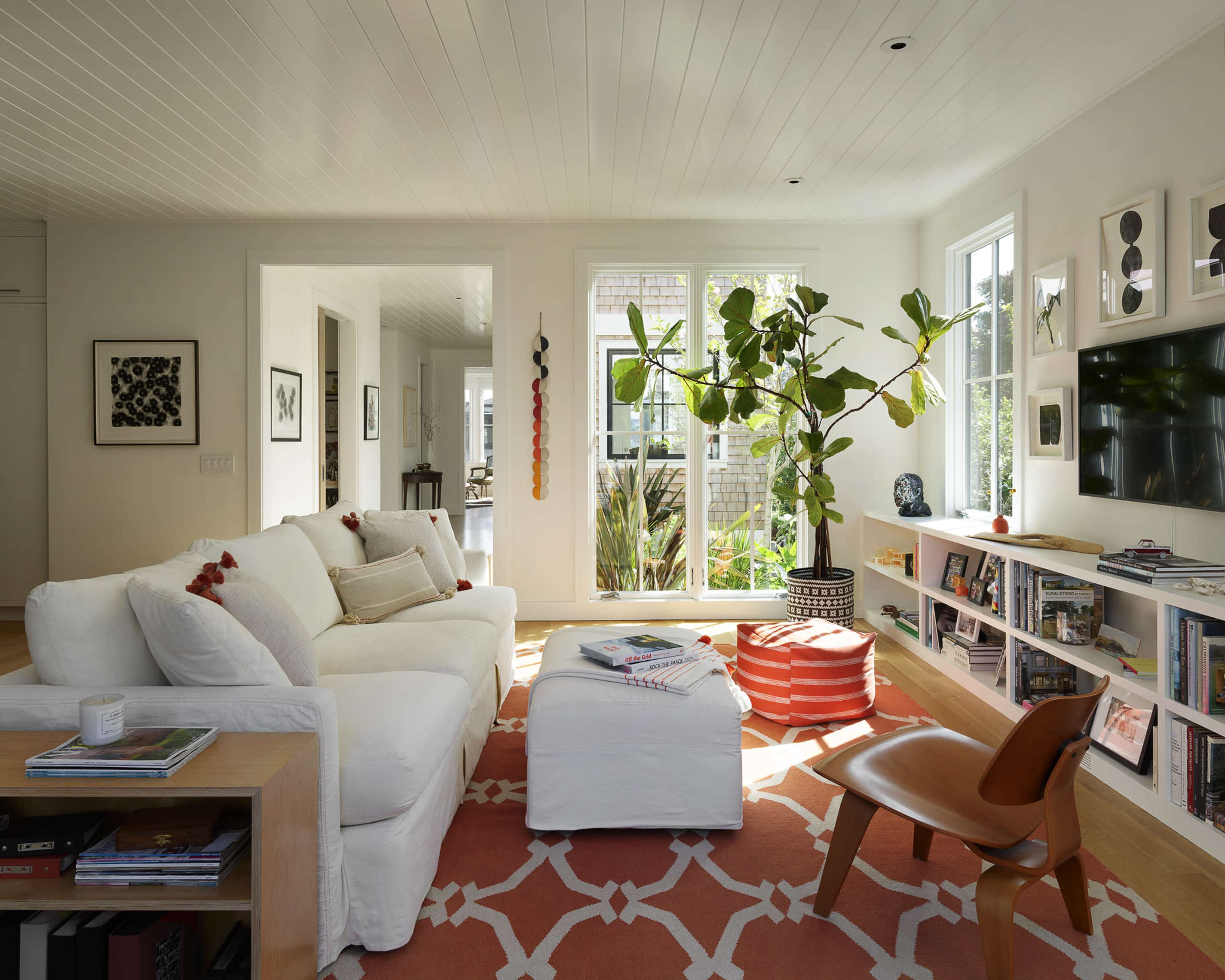 A modern living room with a white sofa, a wooden coffee table, and a large plant in a decorative pot, surrounded by light-colored walls and large windows.