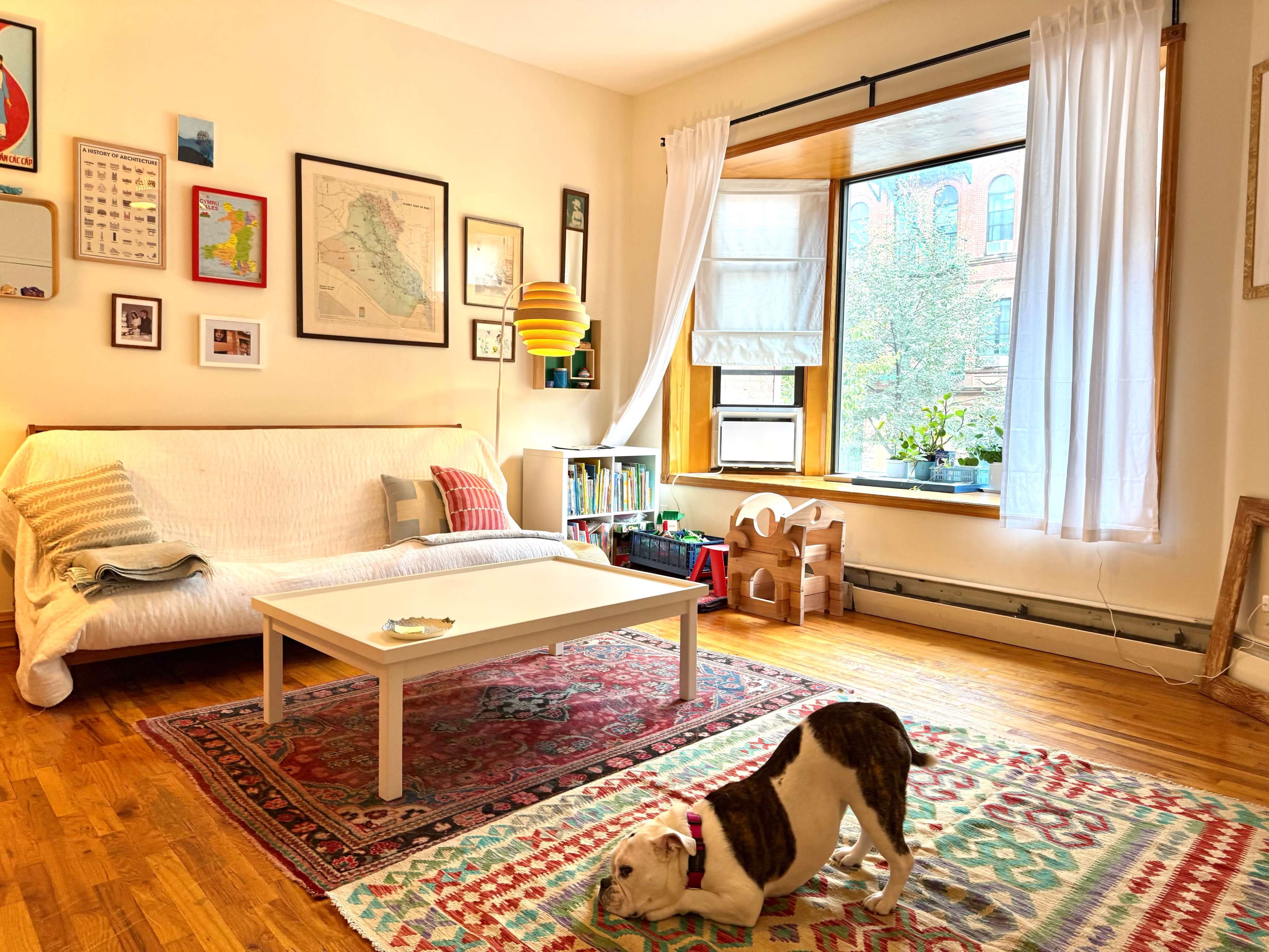 A cozy living room features a white futon, a coffee table, colorful rugs, and a dog near a window with greenery visible outside.