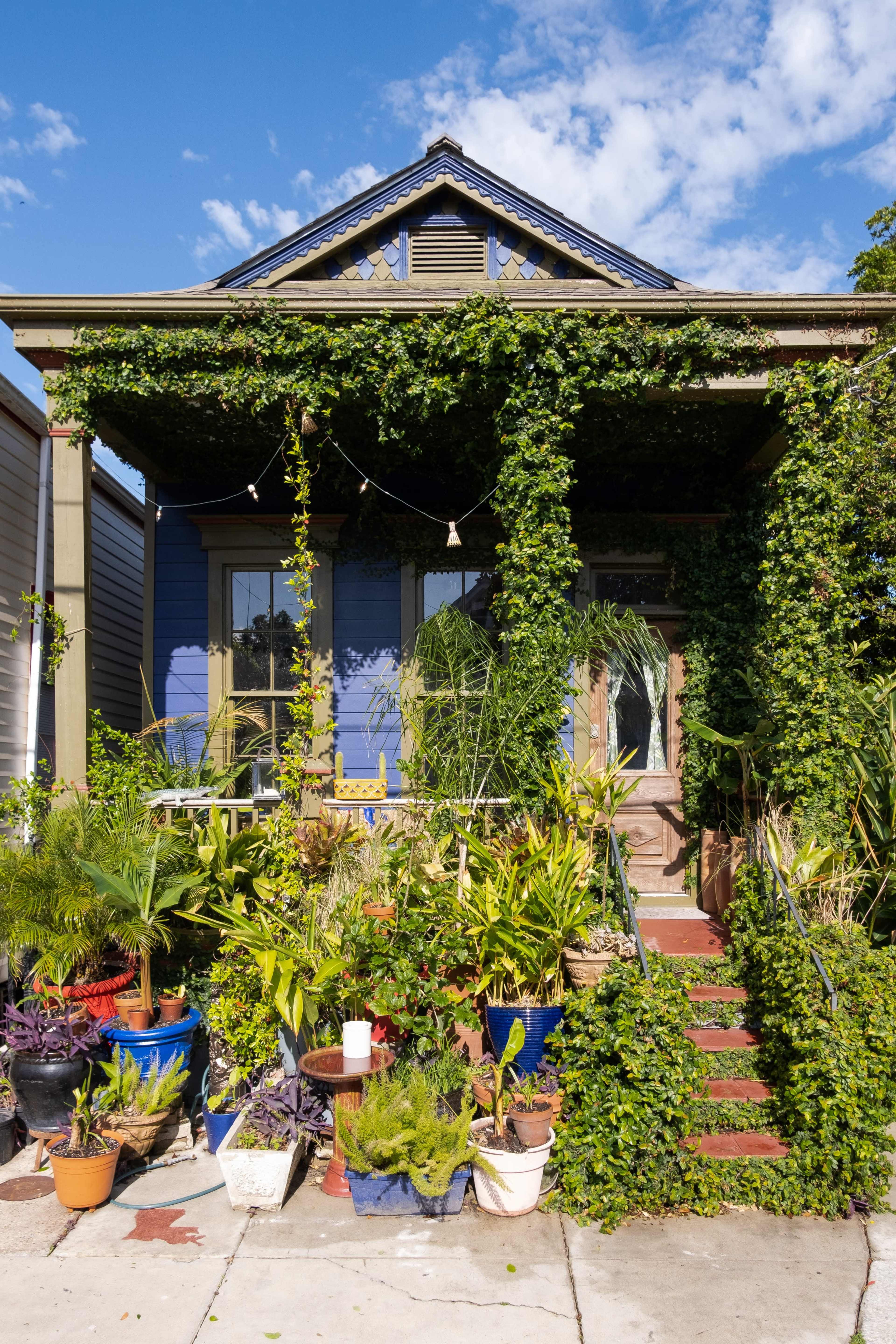 A house with a porch is covered in green vines and surrounded by various potted plants.