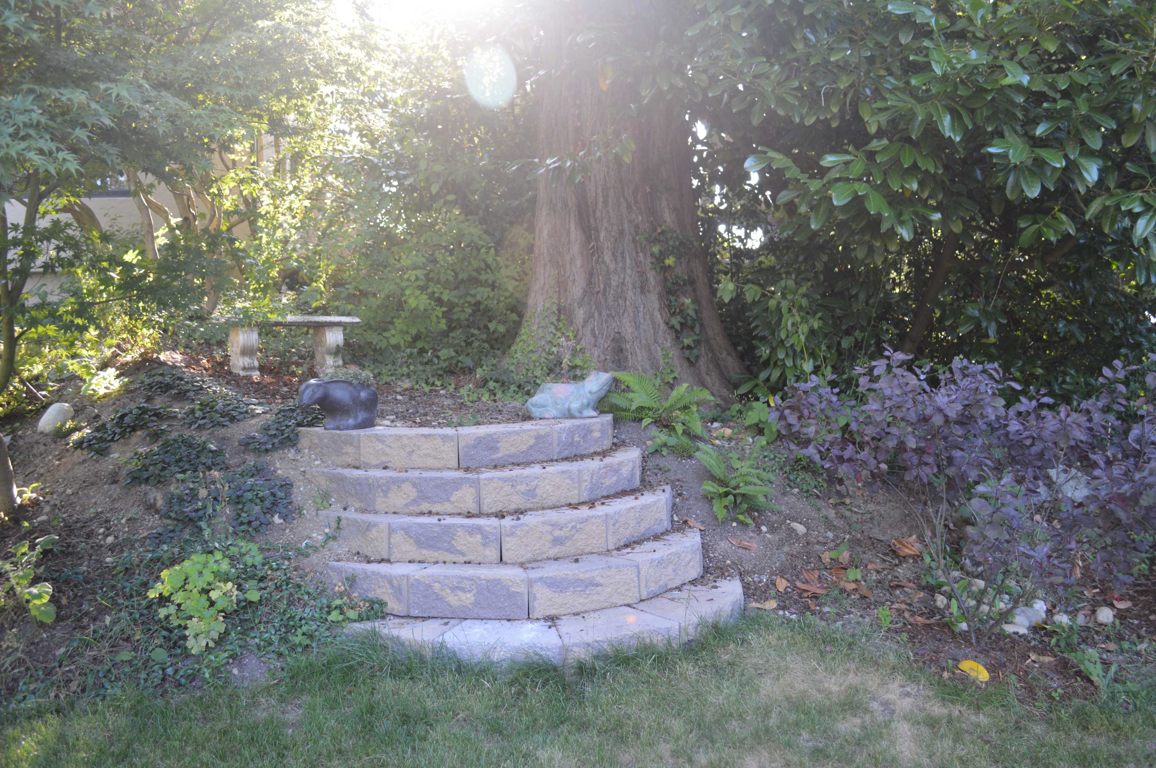 A stone staircase leading up to a patch of greenery with a bench and various plants, set against a backdrop of trees.