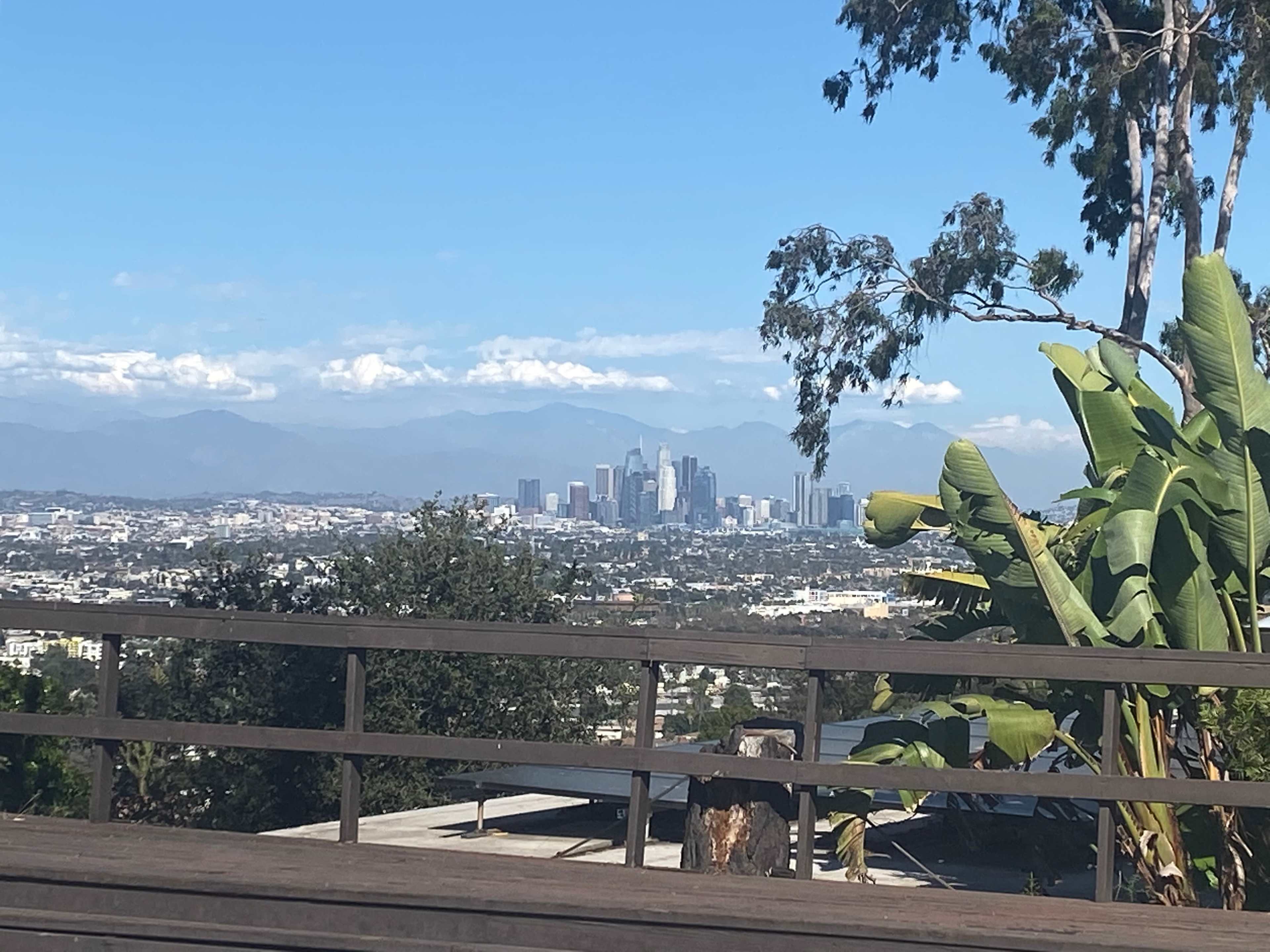 A view of downtown Los Angeles with mountains in the background, framed by trees and foliage.