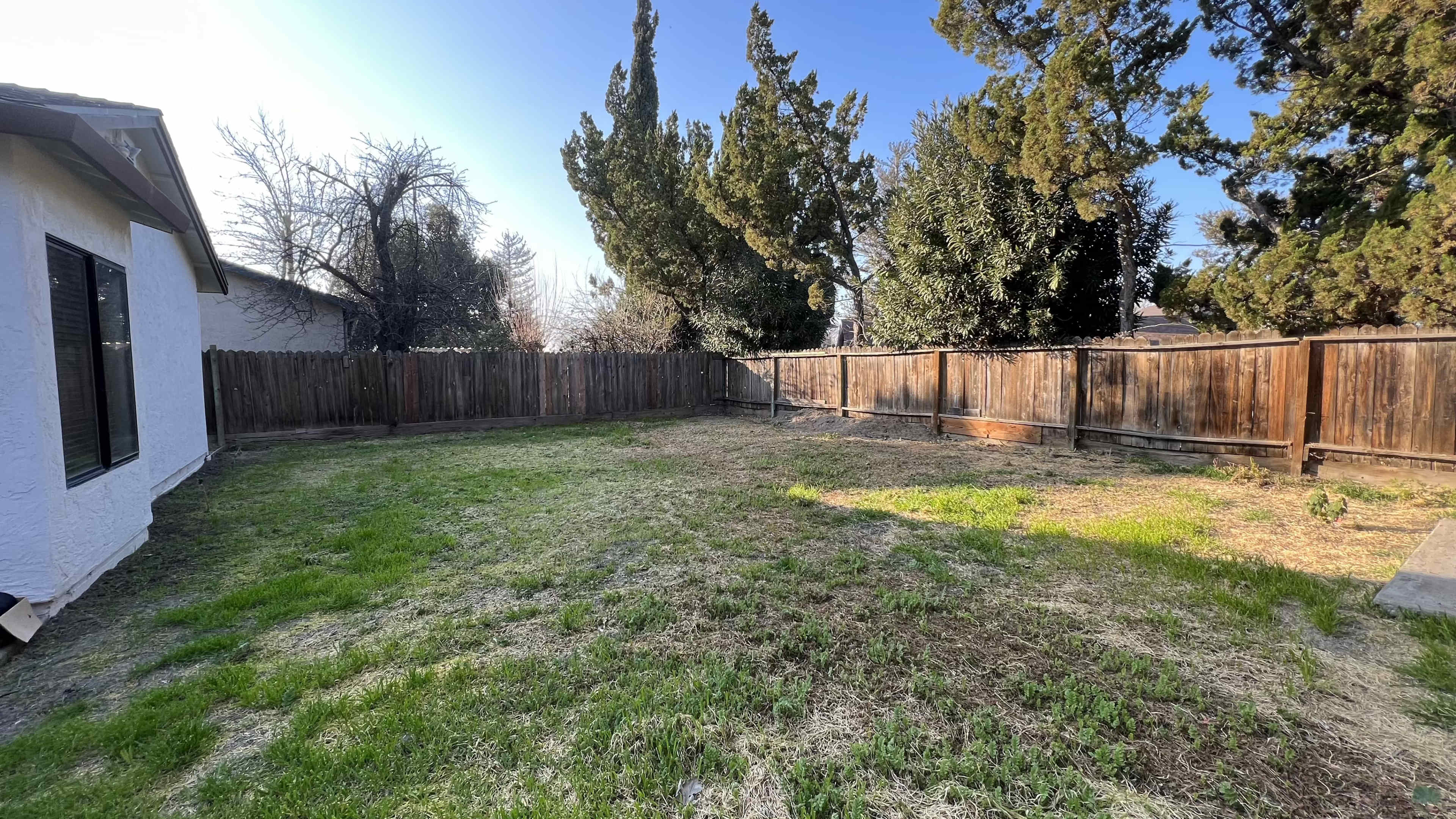 The image shows a spacious backyard with a wooden fence and sparse grass under a clear blue sky.