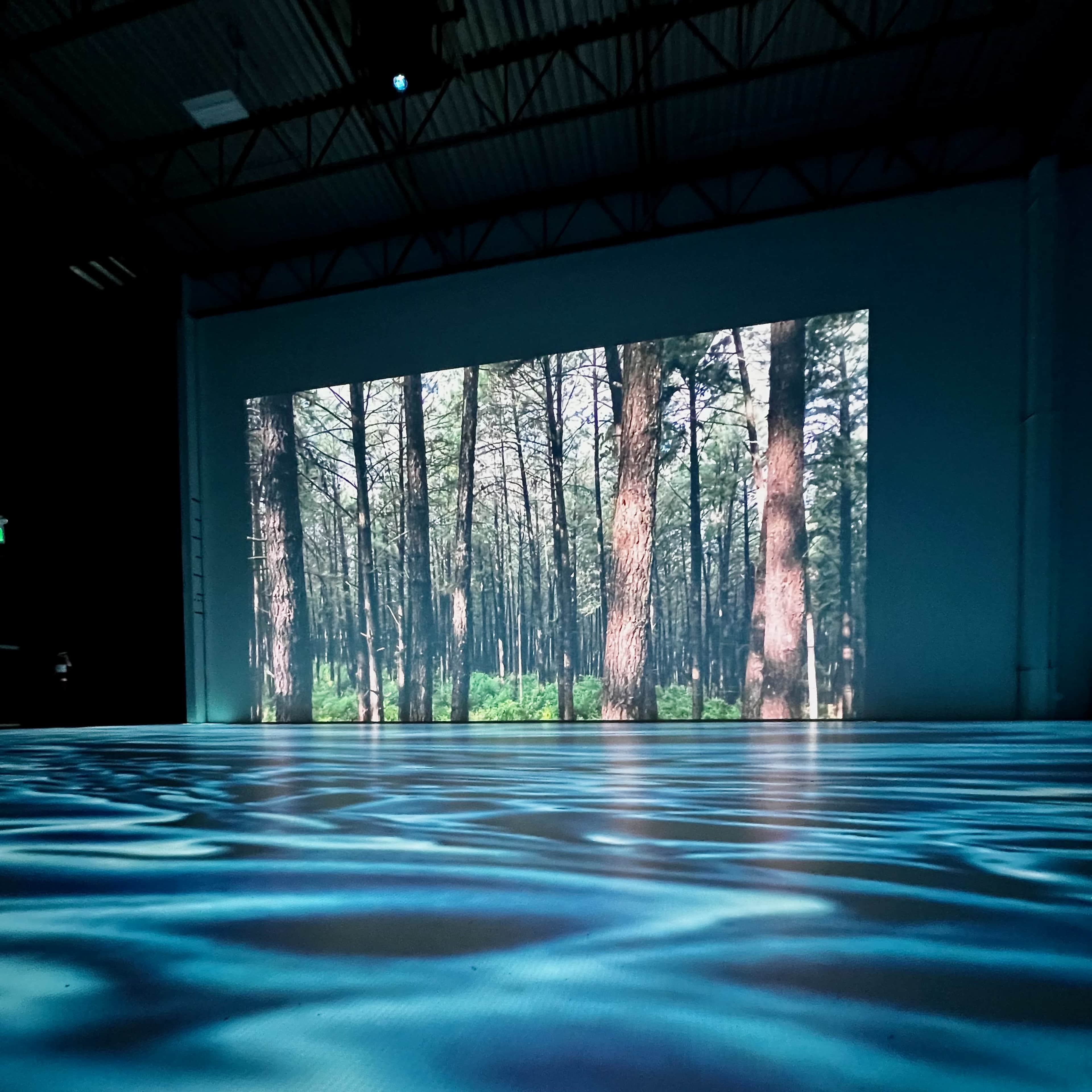 A large screen displays a forest scene with tall trees and green foliage against a backdrop of a smooth, illuminated floor that resembles water.