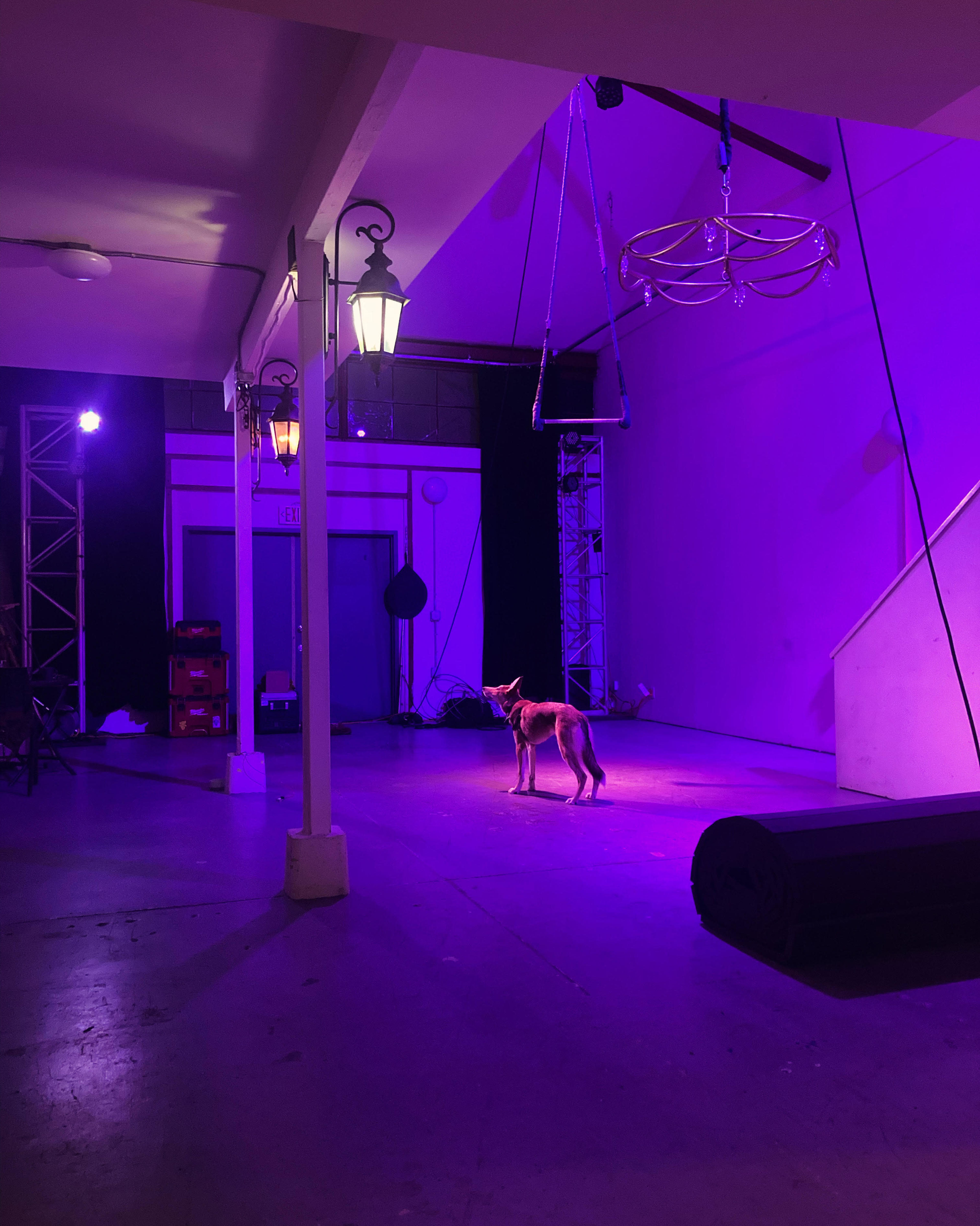 Haus of Wire Image in Coliseum Industrial, Oakland, CA