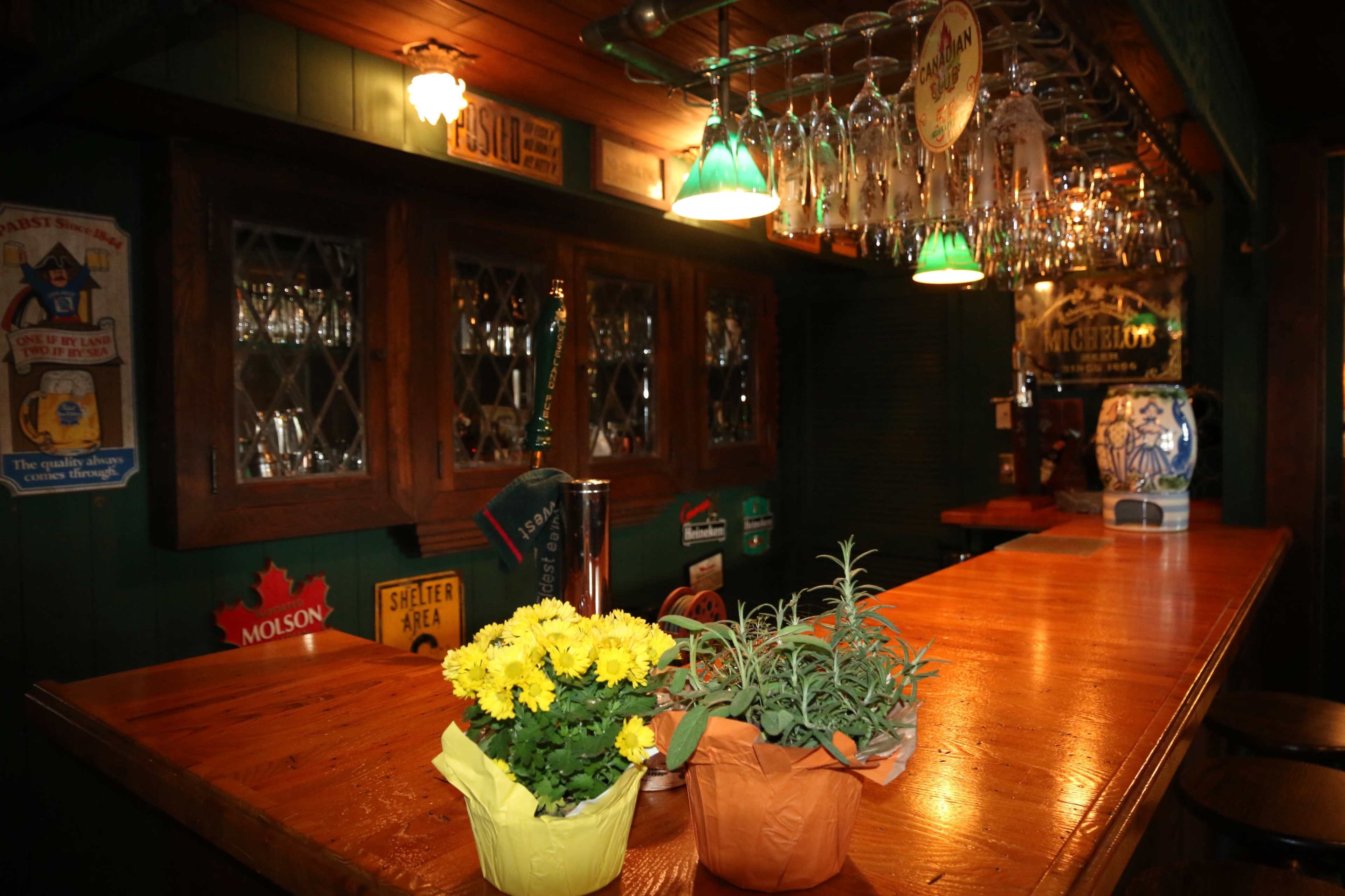 The image shows a wooden bar with various glassware hanging above, decorated with potted flowers and colorful vintage beer signs on the walls.