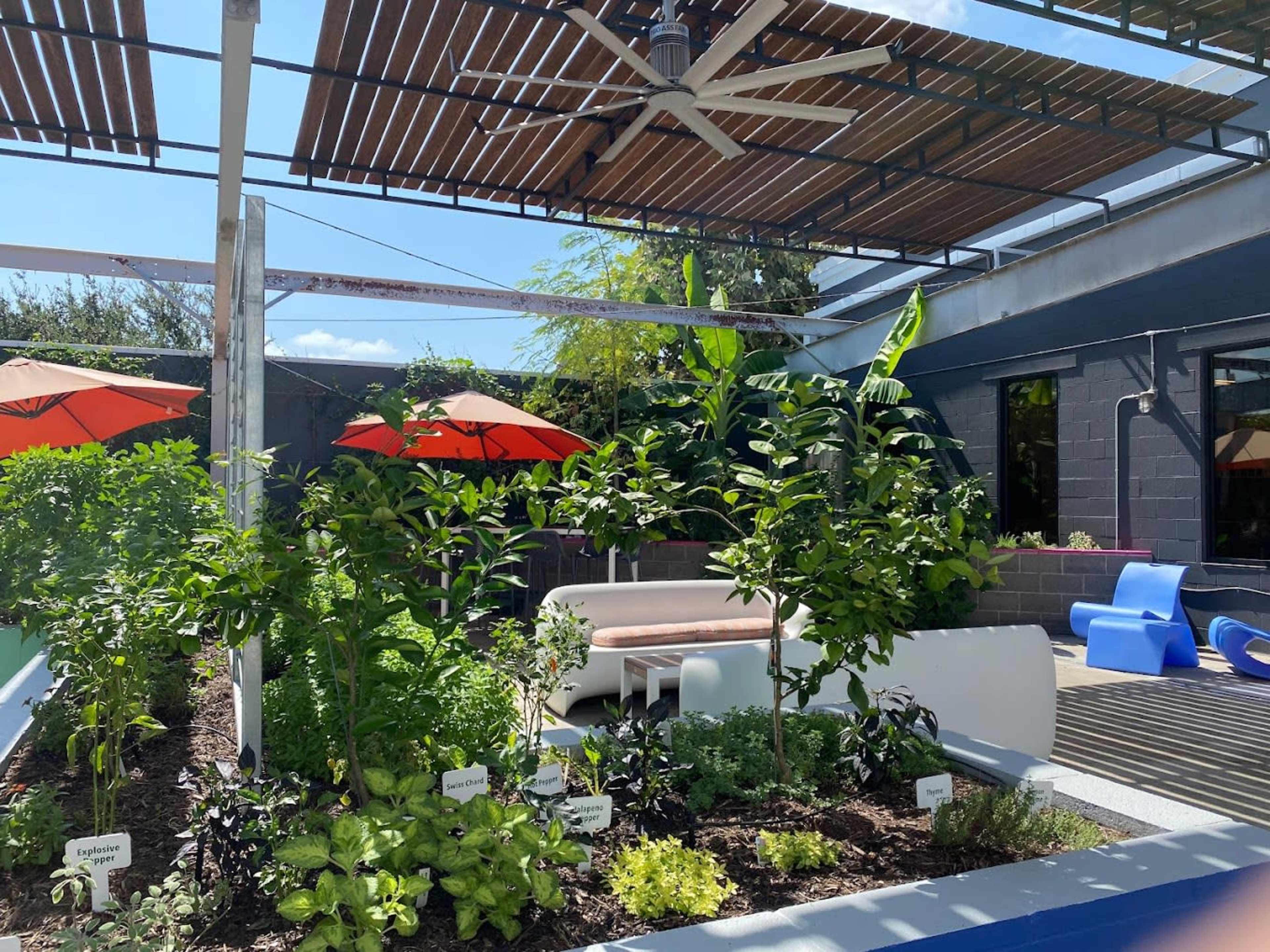 A rooftop garden features various green plants and herbs, shaded by large orange umbrellas and a canopy above.