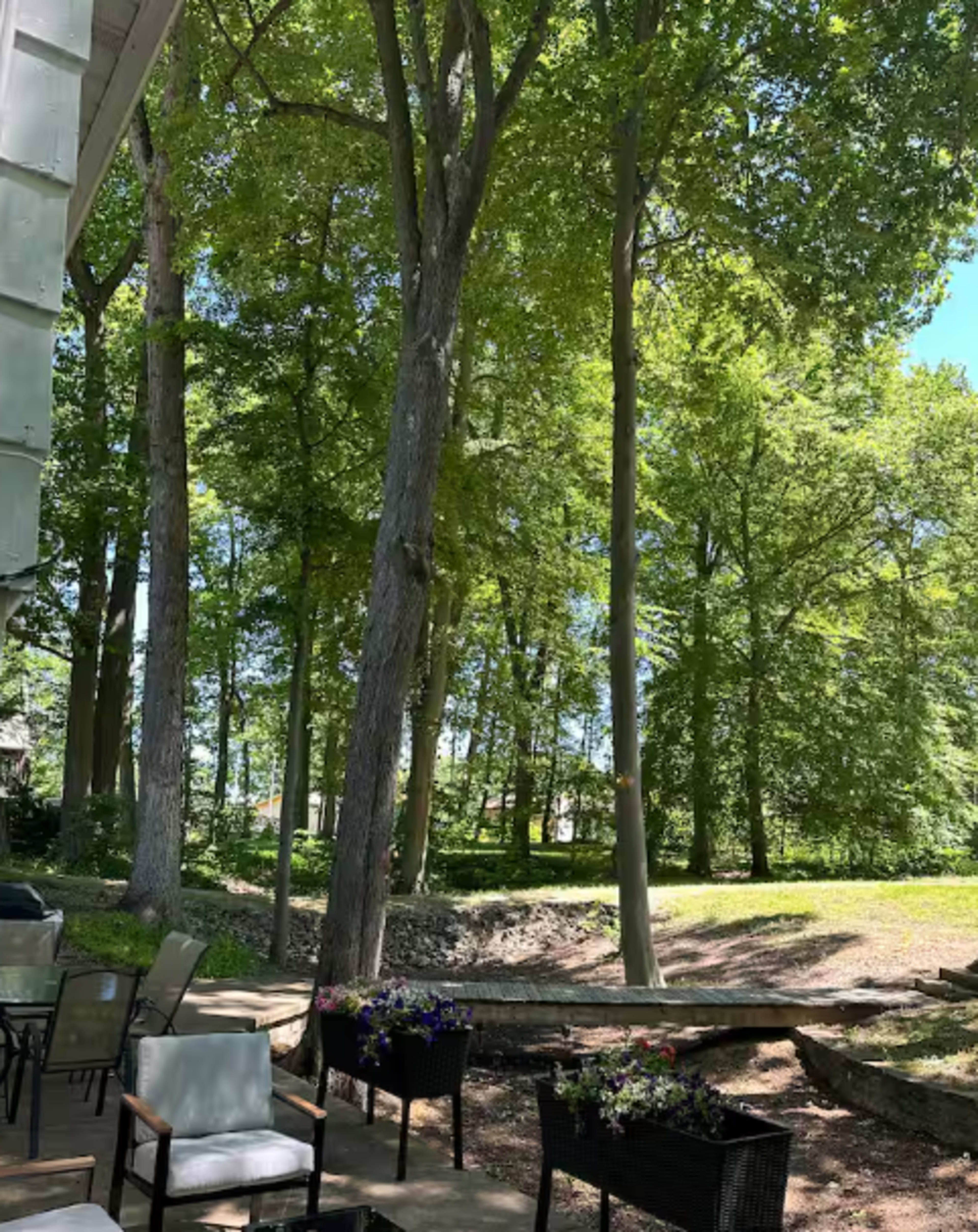 Secluded Oasis: 4 Bedrooms, 3 Blocks to Downtown Image in New Buffalo Township, New Buffalo, MI