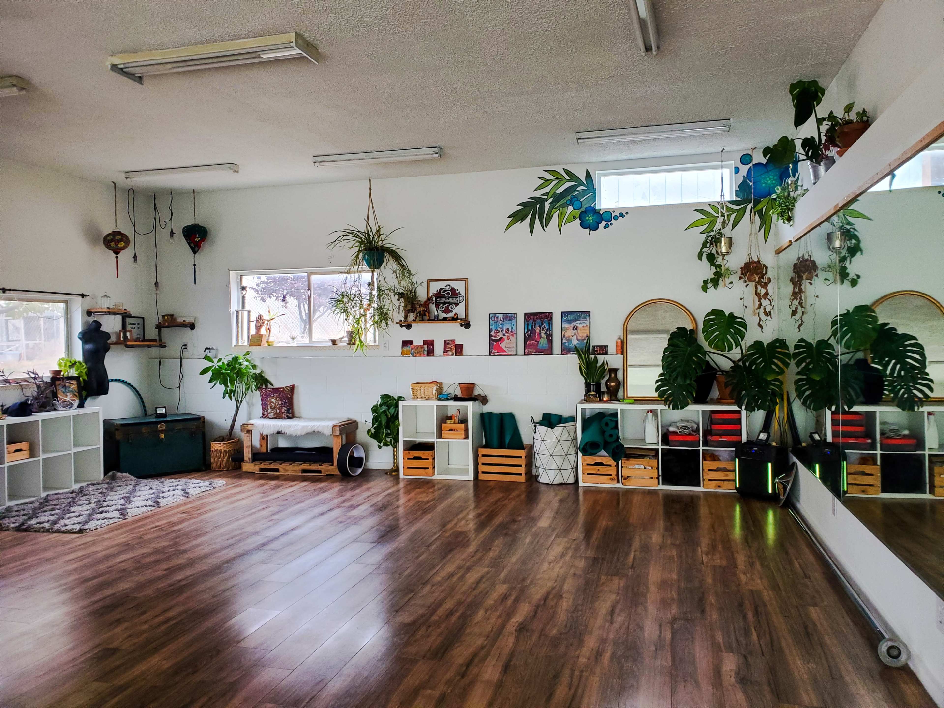 A spacious room with wooden flooring, large windows, plants, and various furniture arrangements, including a mirror and storage boxes.
