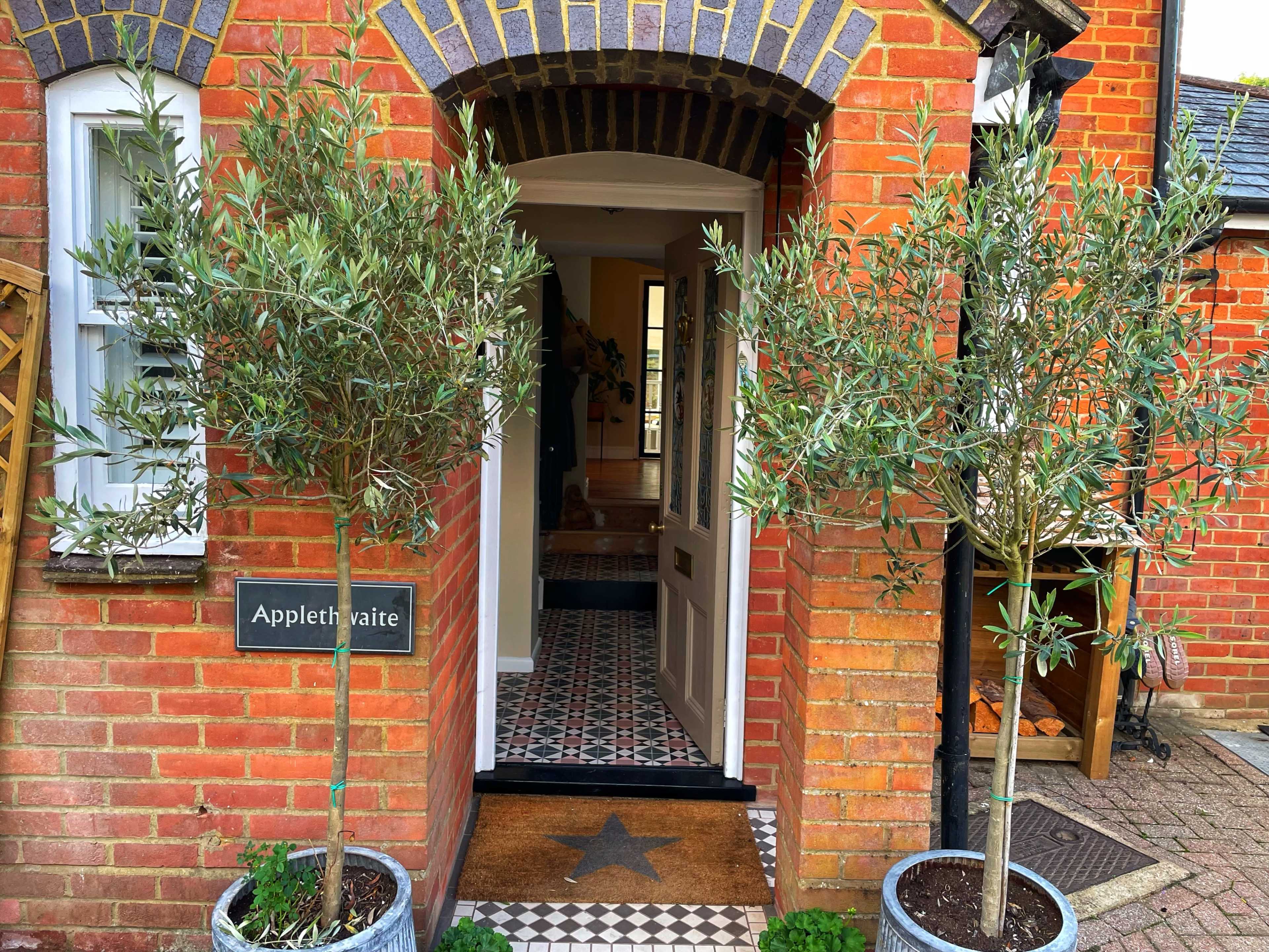 The entrance of a home with two olive trees in pots flanking a doorway, leading to a tiled hallway.