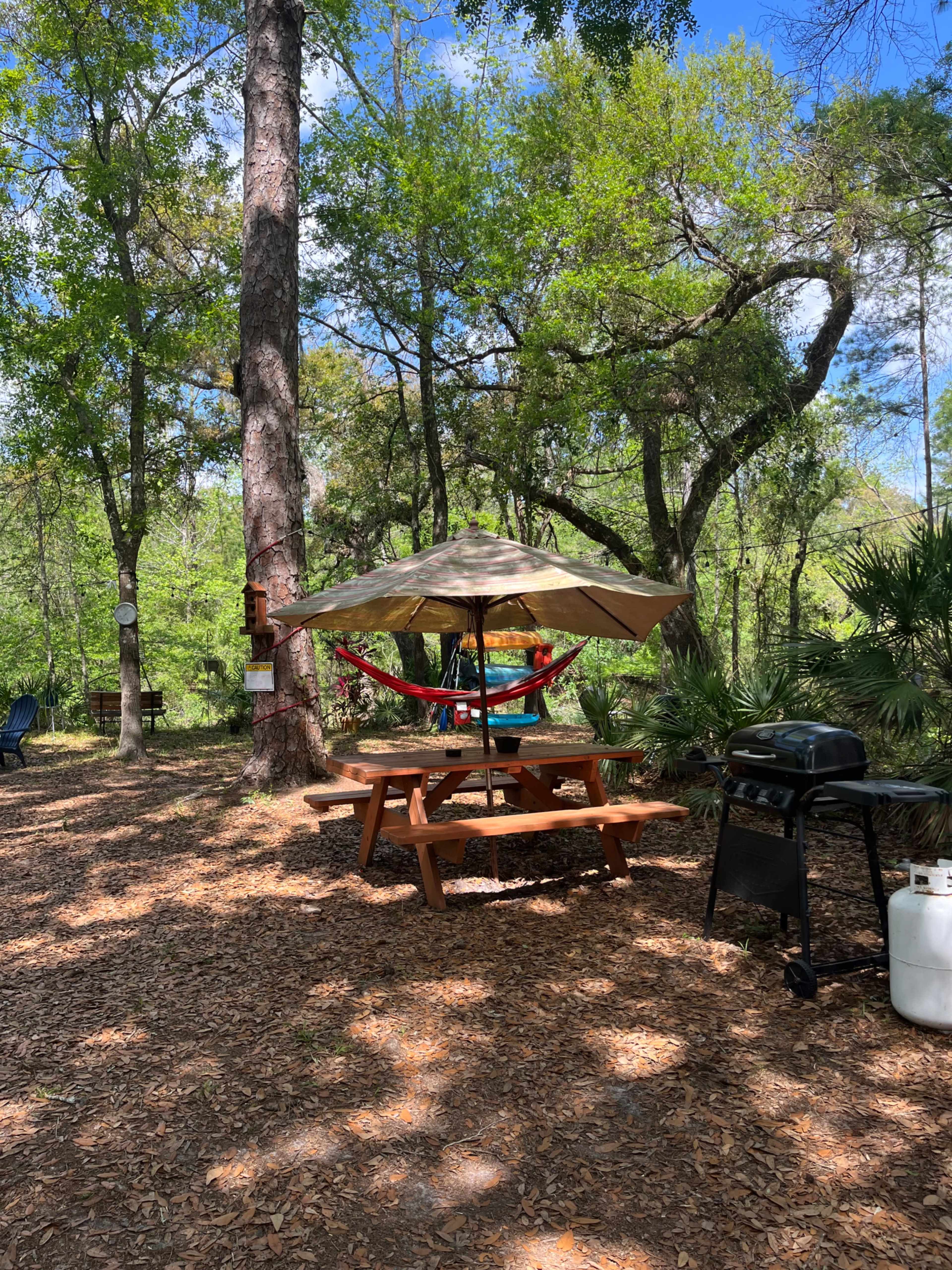 A picnic table with an umbrella and a grill is situated beneath trees in a wooded outdoor area.