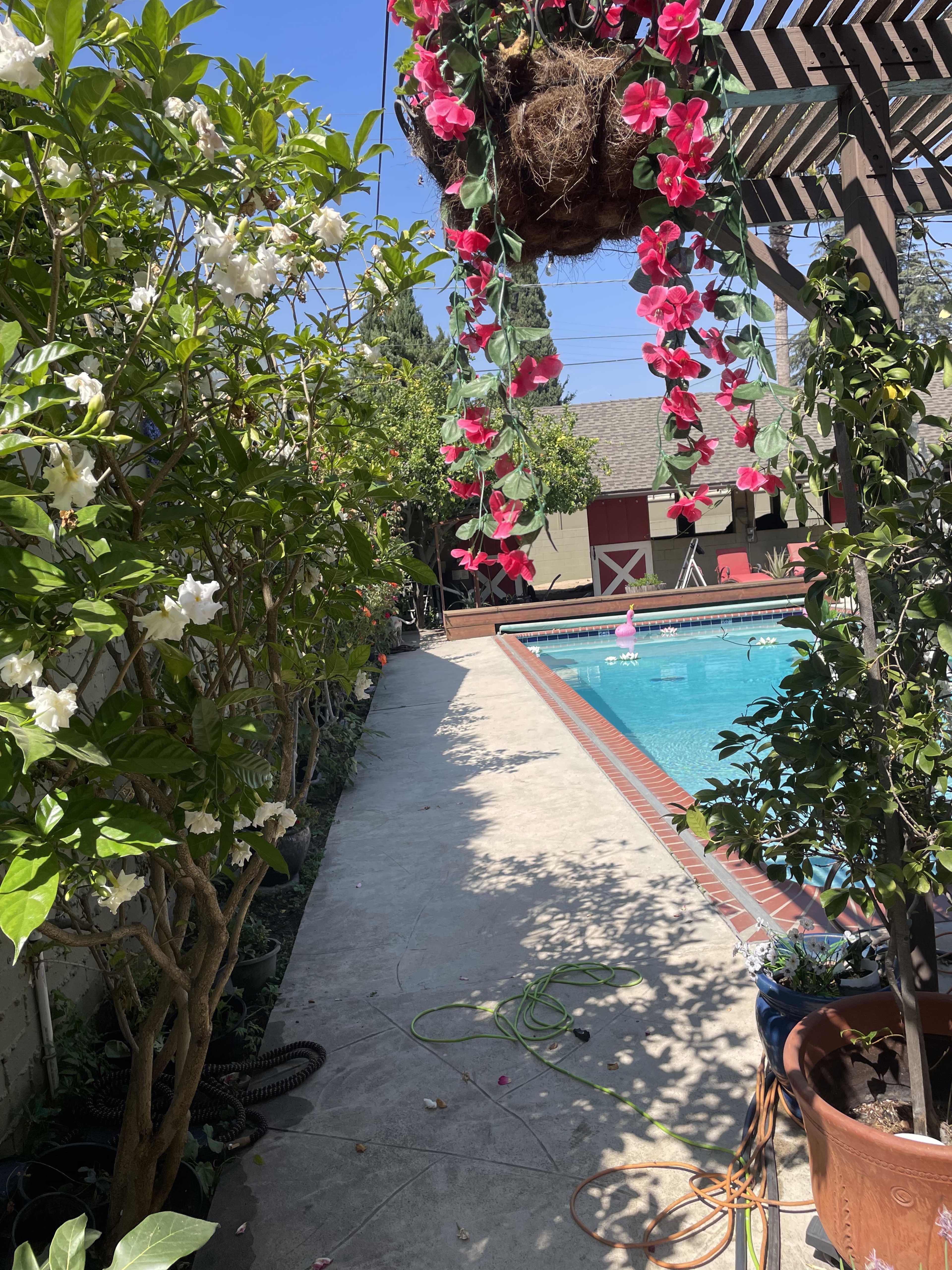 The image shows a pathway lined with greenery and flowers that leads to a swimming pool enclosed by a fence and a shaded area.
