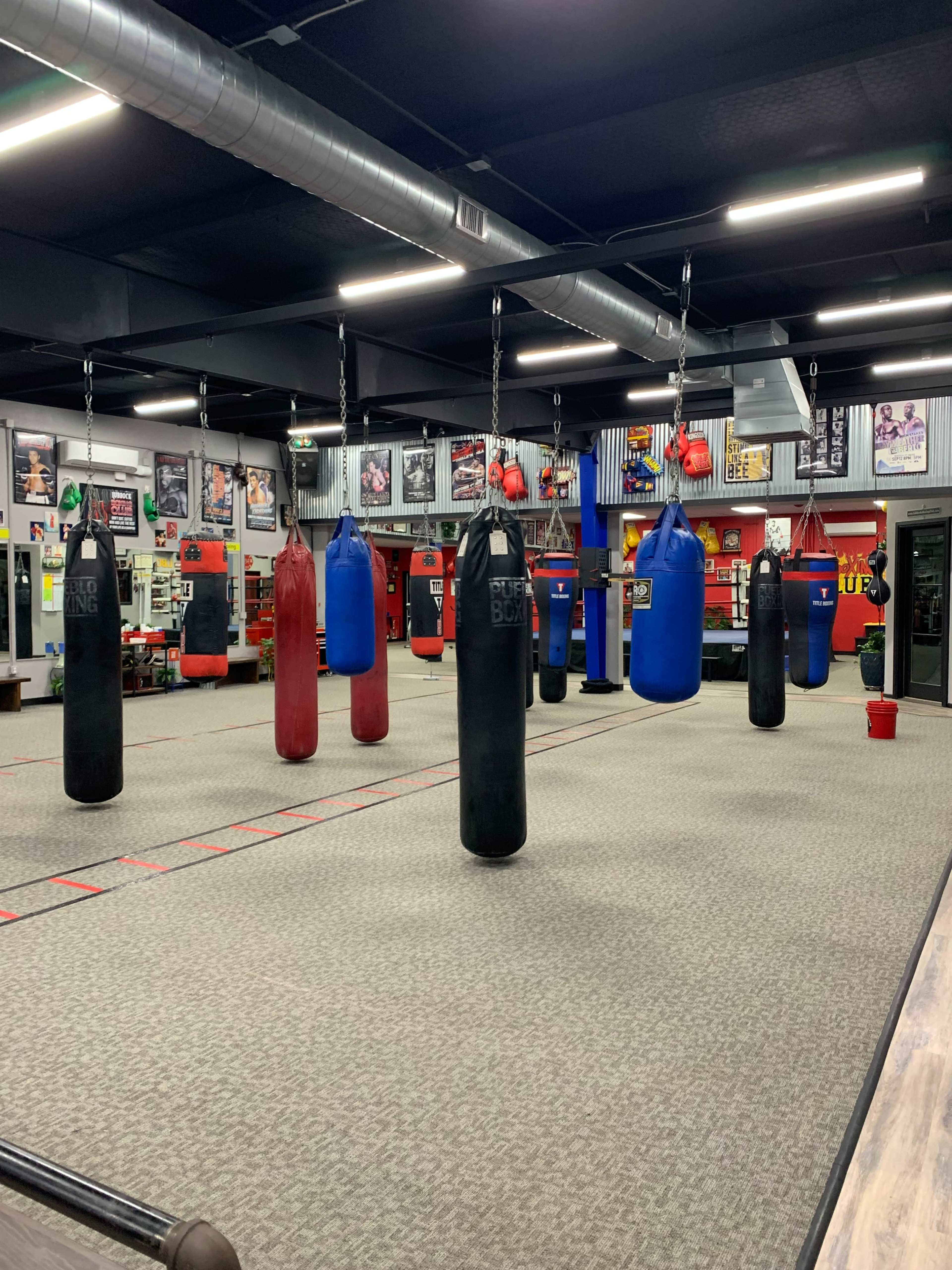 A boxing gym with multiple hanging punching bags of various colors arranged in a spacious, well-lit area.