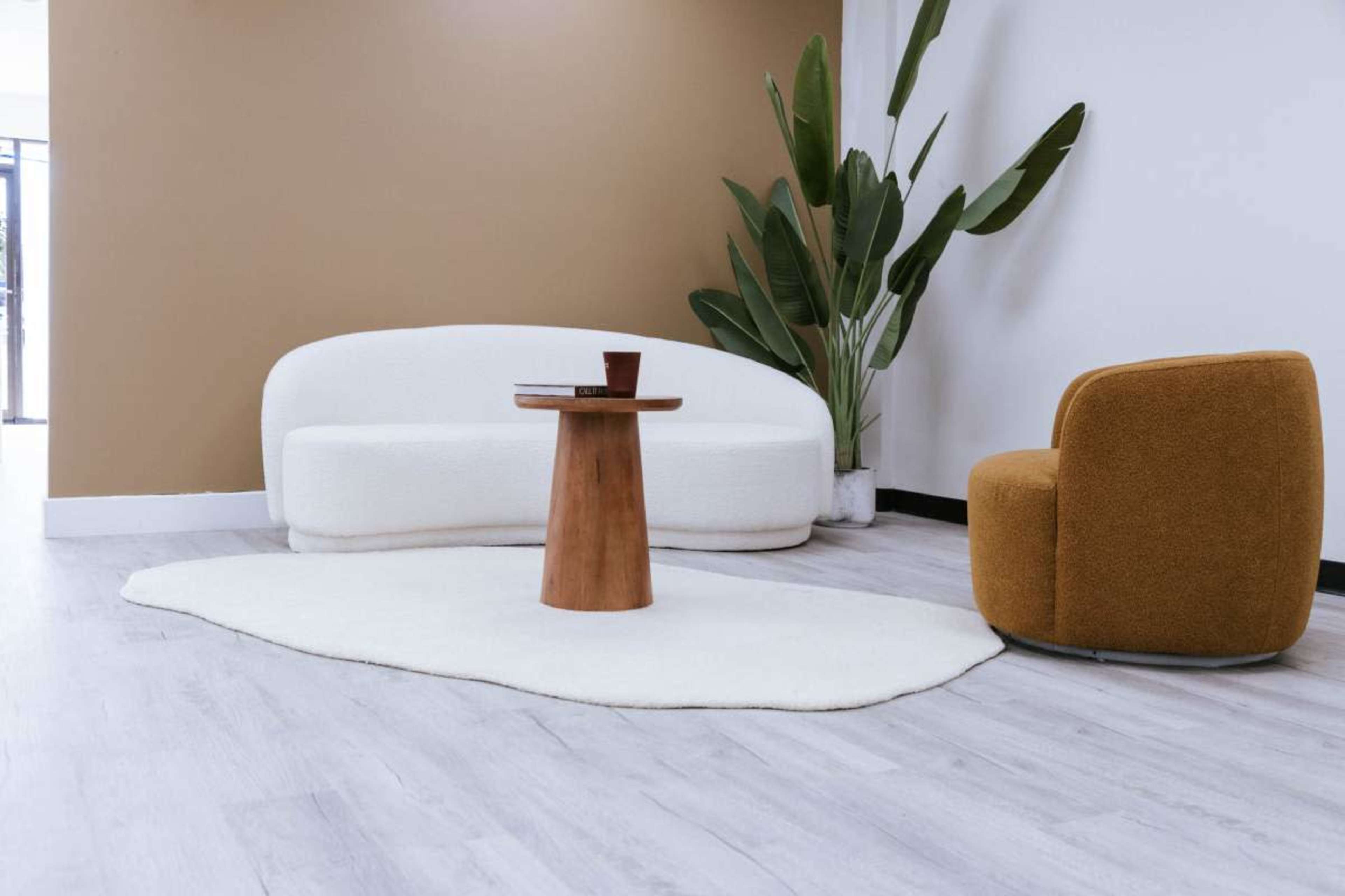 The image shows a modern living space with a white couch, a round wooden table, a brown chair, and a large green plant against a beige wall.