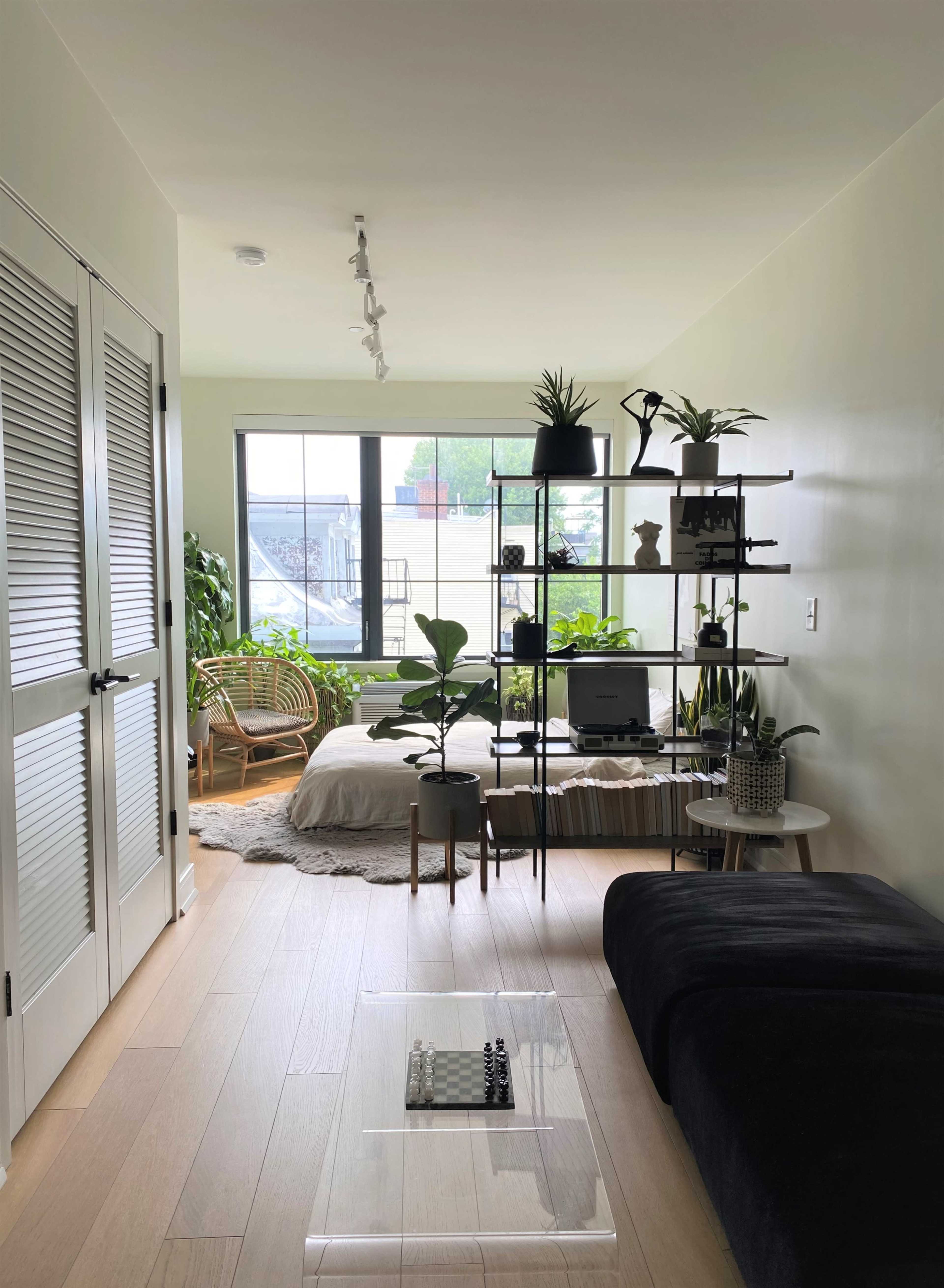 The image shows a modern room with a bed covered in a light blanket, a black couch, and a shelf filled with plants and decorative items beside a large window.