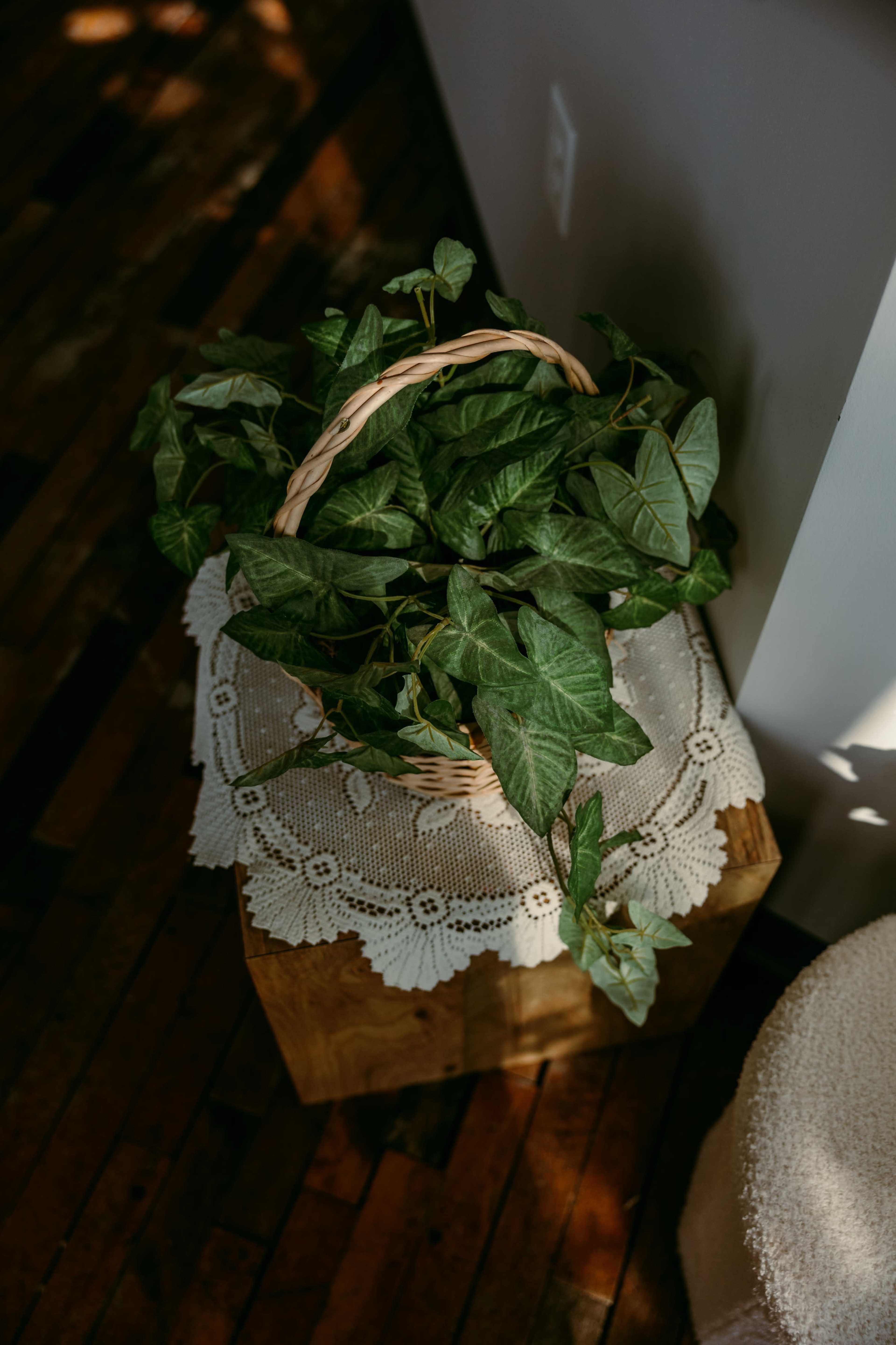 A woven basket filled with green ivy leaves sits atop a wooden stool covered by a lace cloth.